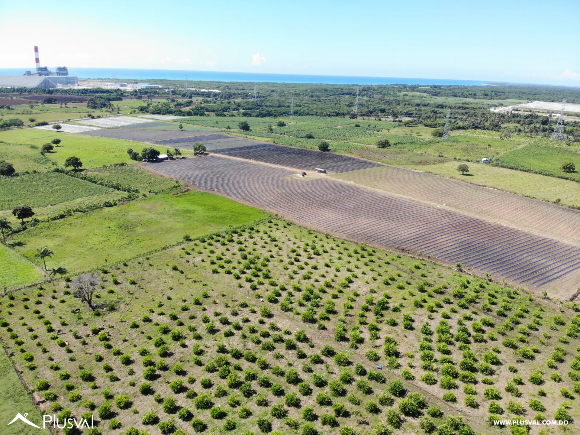 Se vende finca en Baní 460693