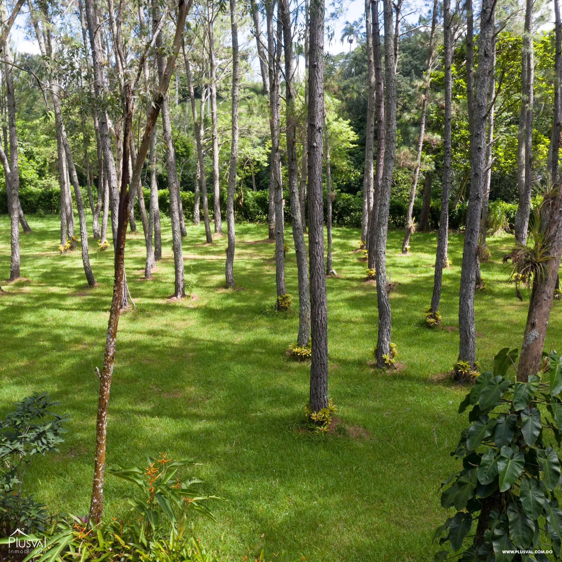 Solares en proyecto cerrado, cerca del Salto Jimenoa 364148