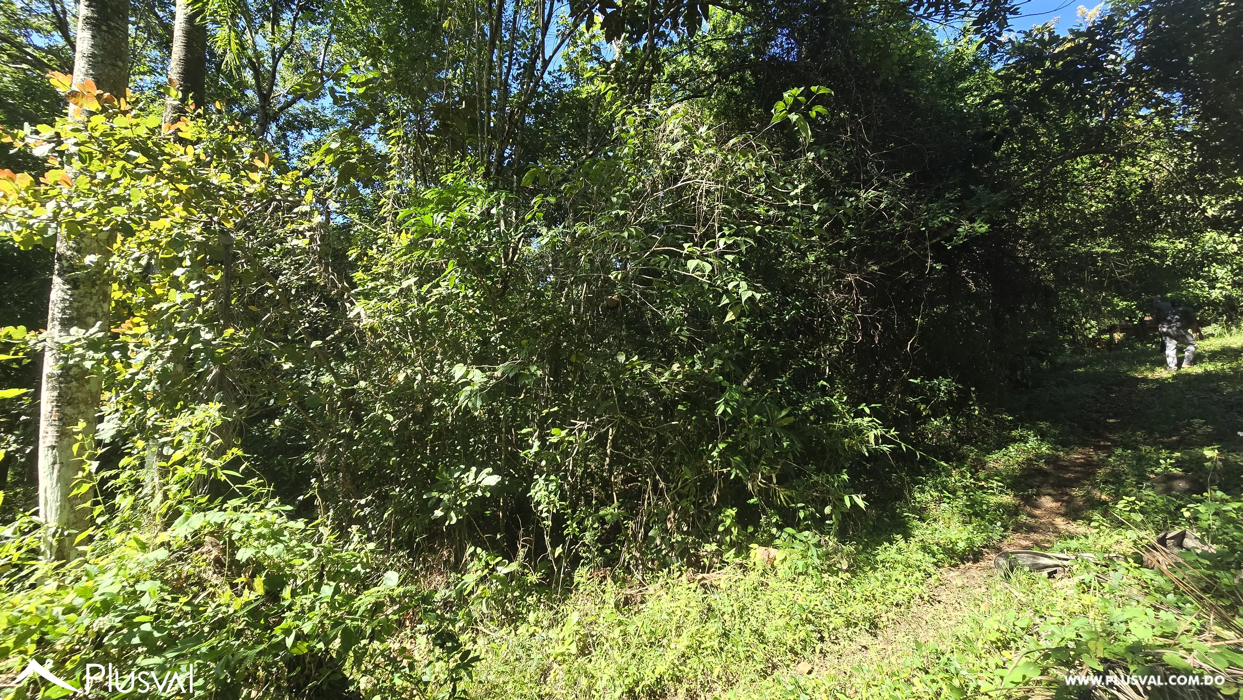 Oportunidad de inversion: Solar en vacacional matua. 486347