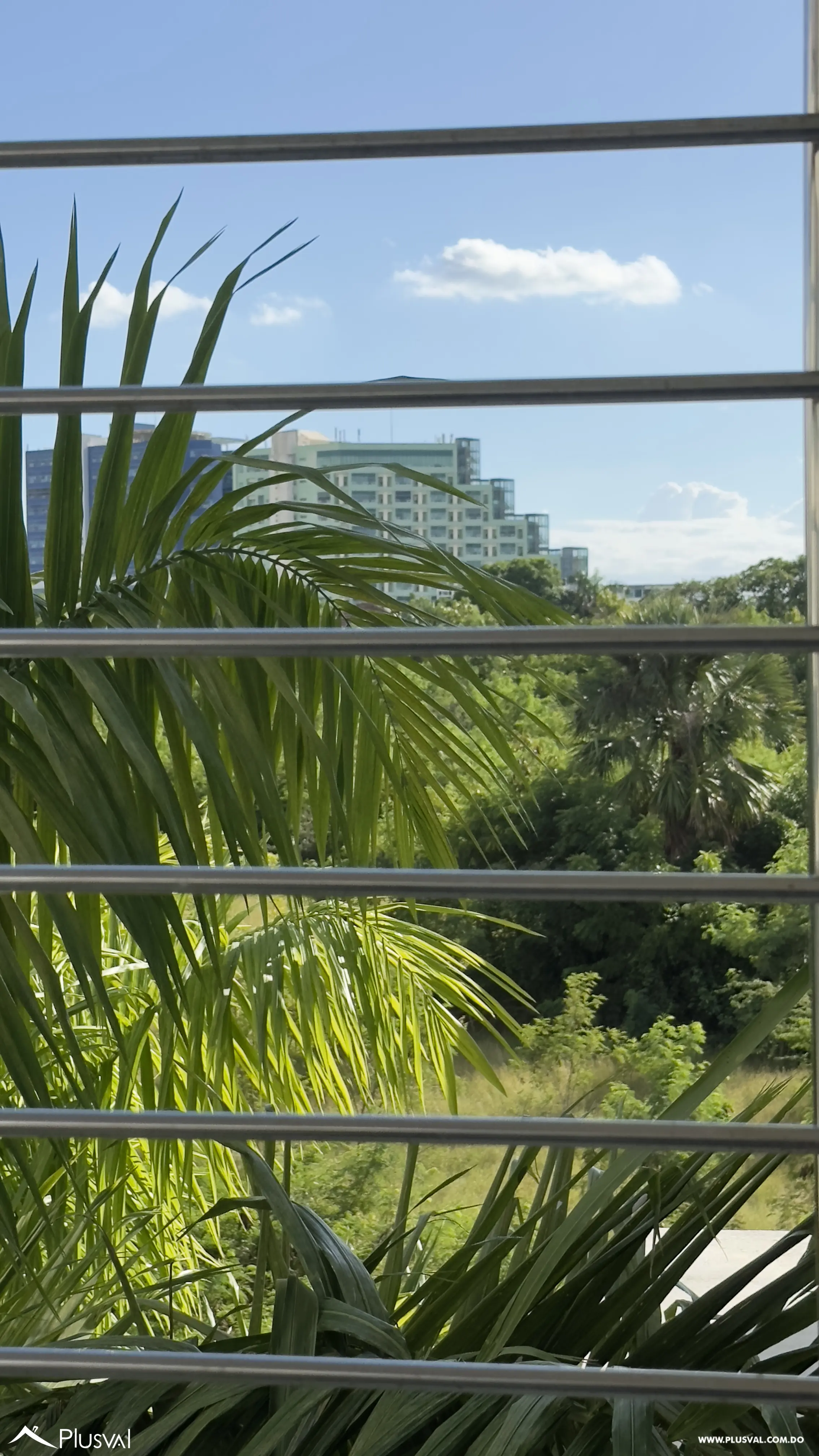 Hermoso e imponente Apartamento Amueblado , 482880