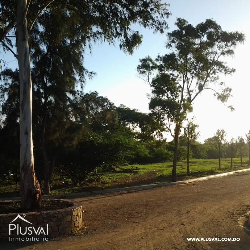Solar de 220 m² en Ubicación Estratégica con Potencial Ilimitado Cerca de Todo 437597
