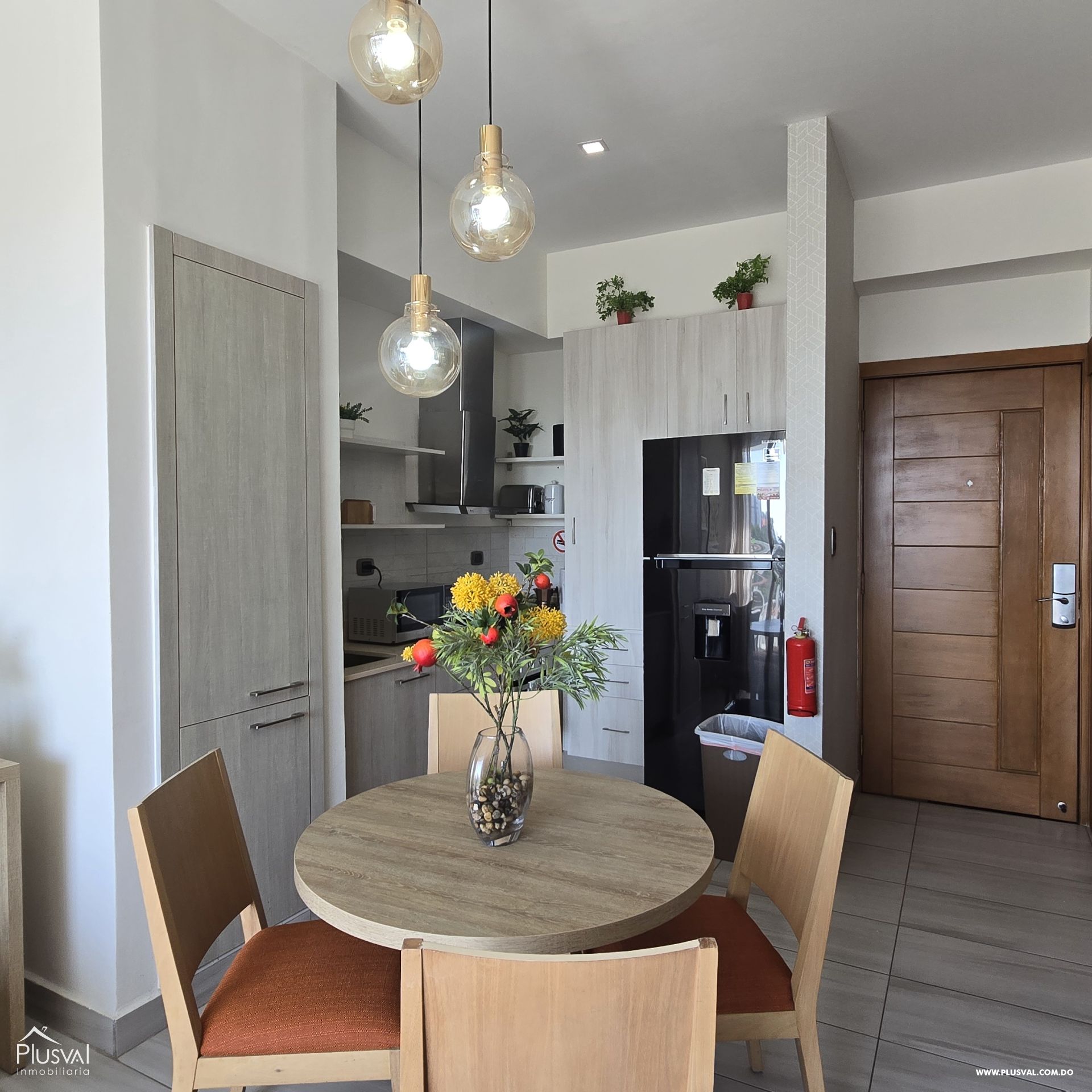 Apartamento amueblado en alquiler, Naco 400675