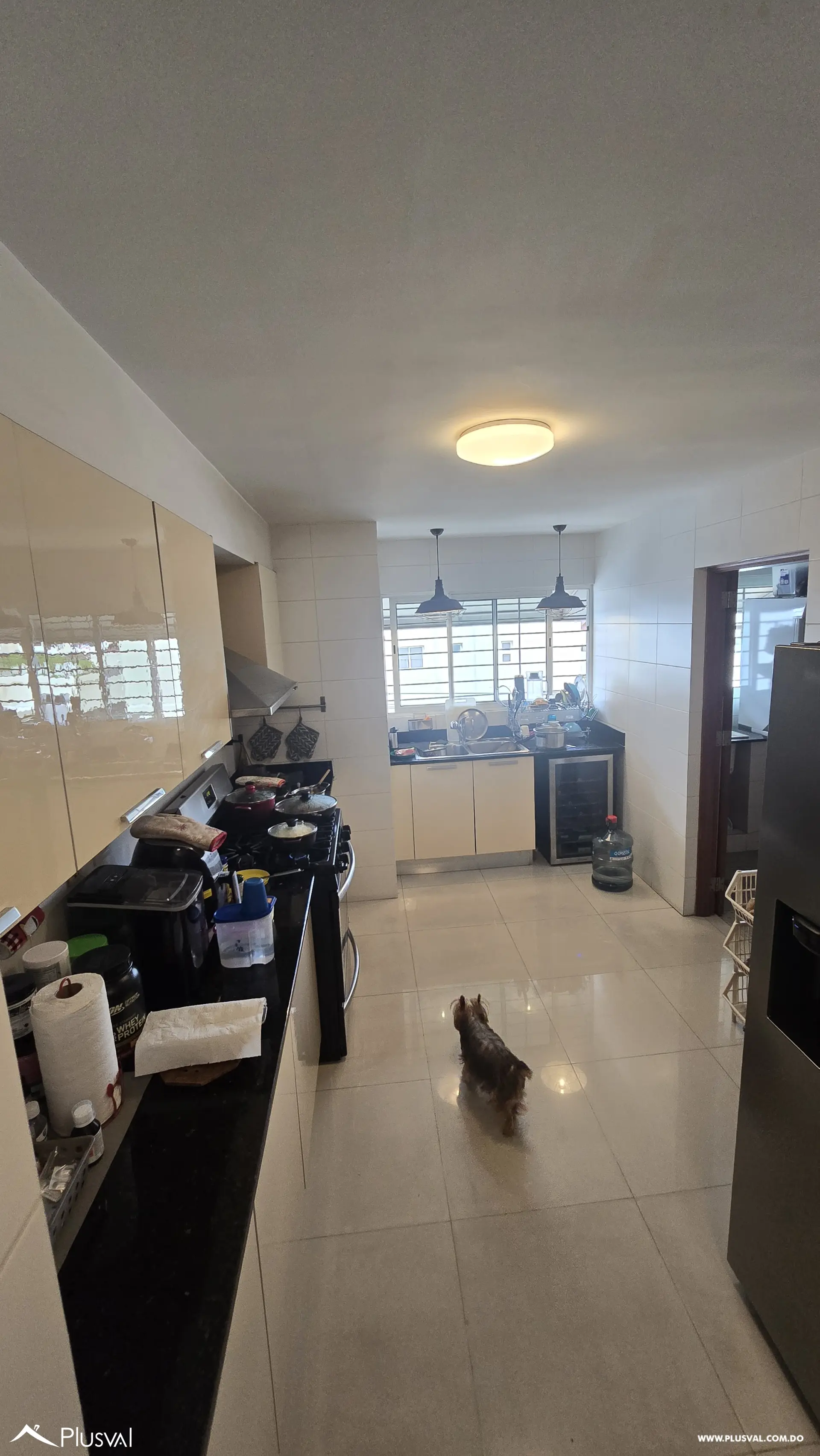 Apartamento en Venta en Arroyo Hondo Viejo 495825