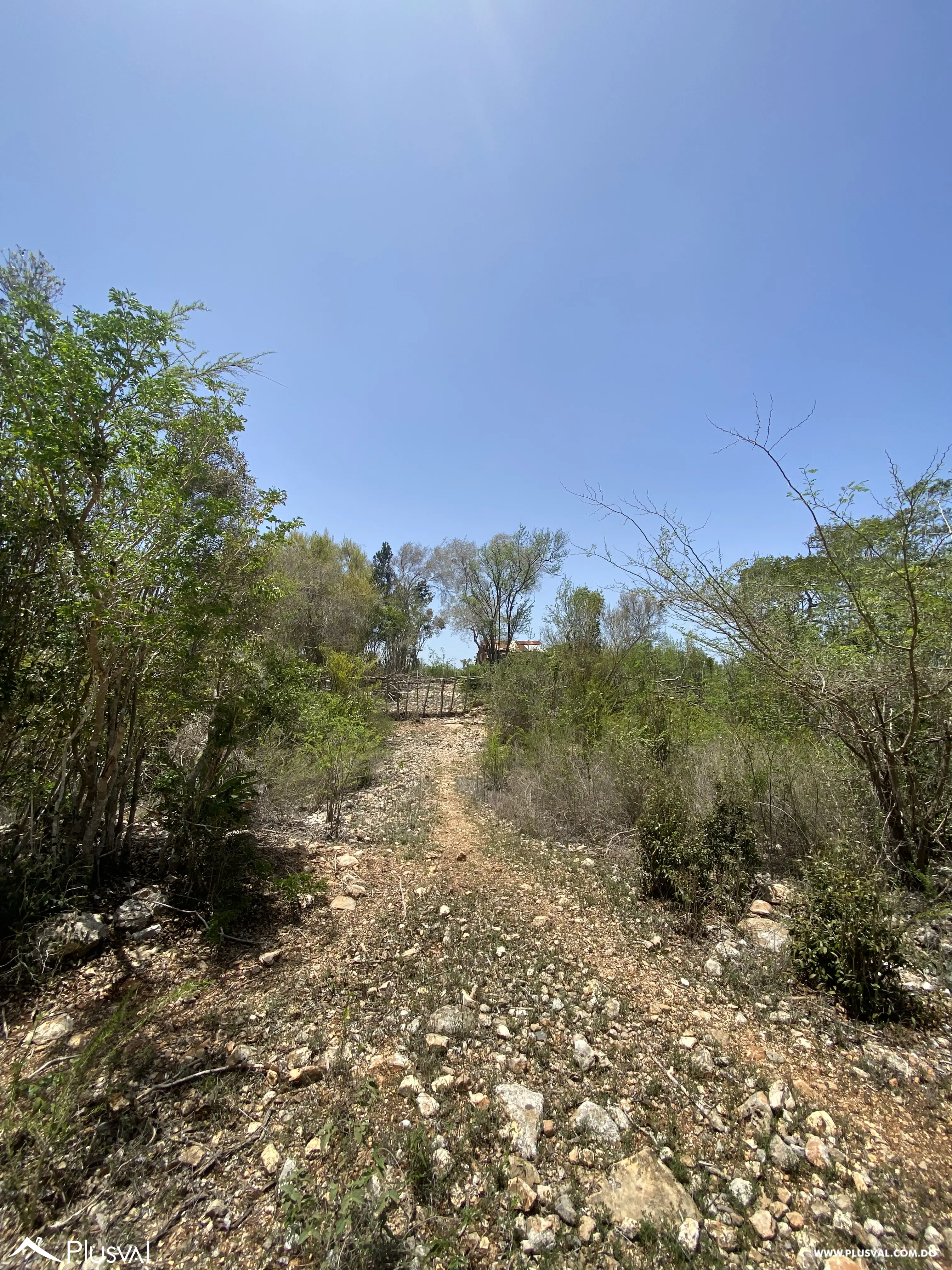 Terreno en Pedernales 457157