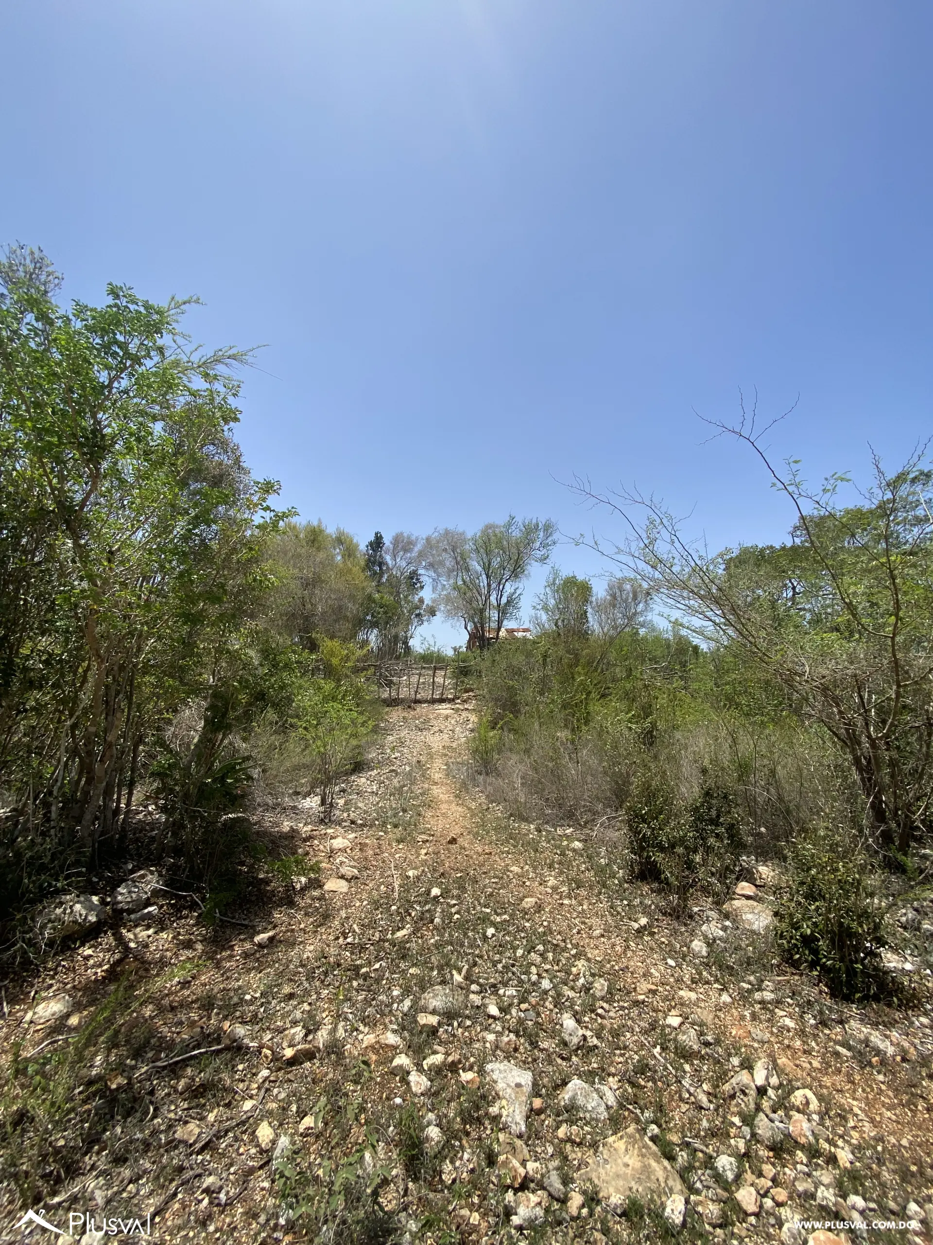 Terreno en Pedernales 457157