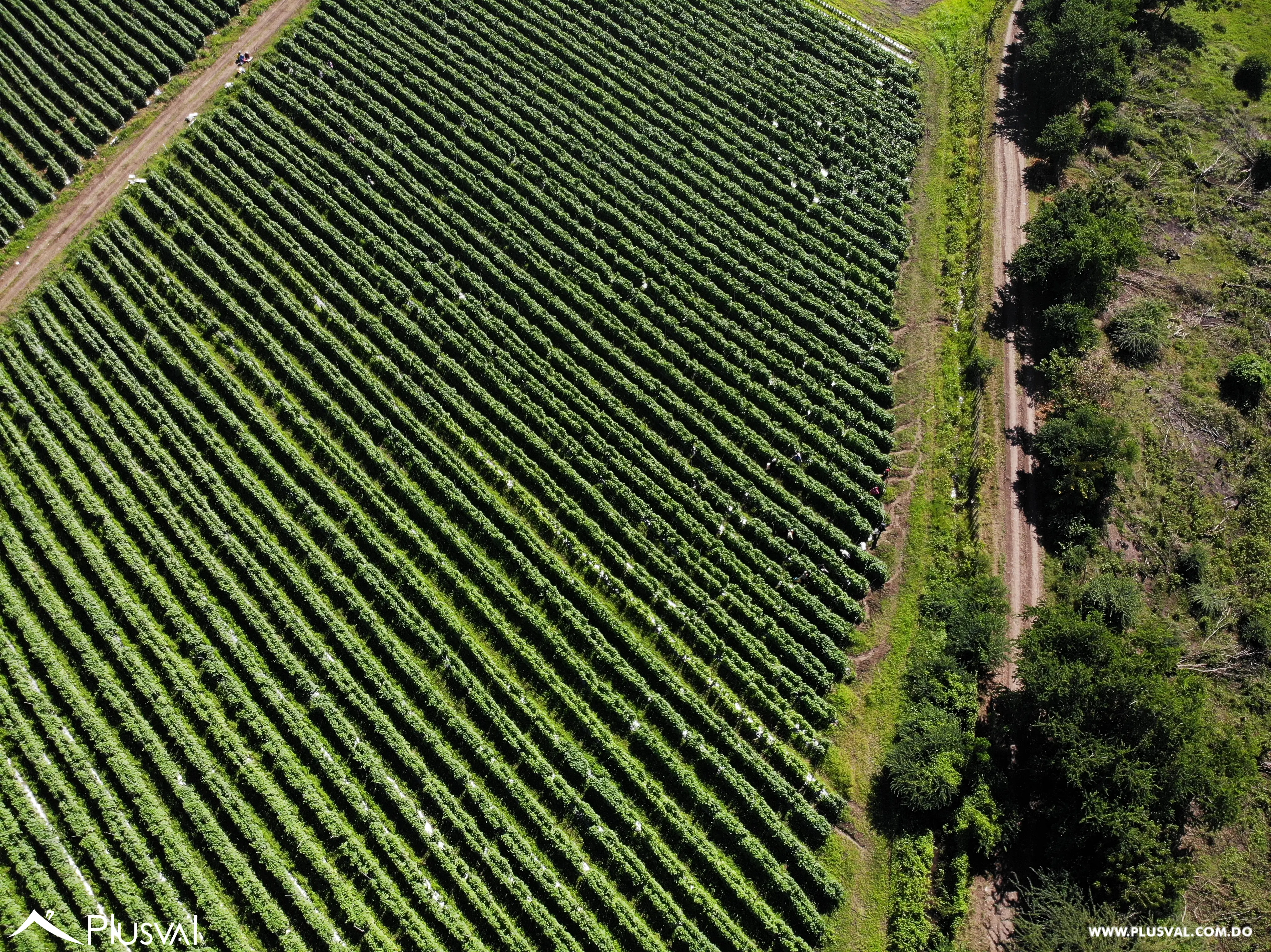 Se vende finca en Baní 460695