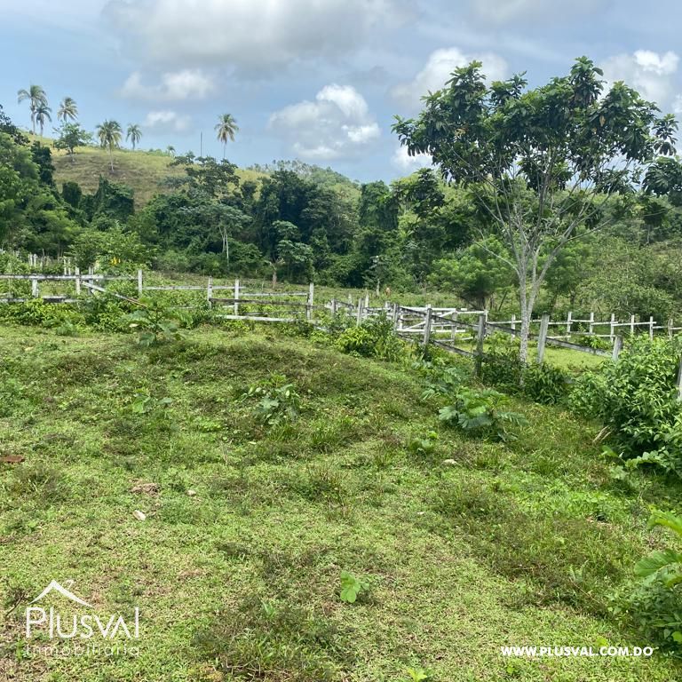 Terreno en Venta en Las Terrenas - Samaná | 190,930 m² Naturaleza y Altitud 313397
