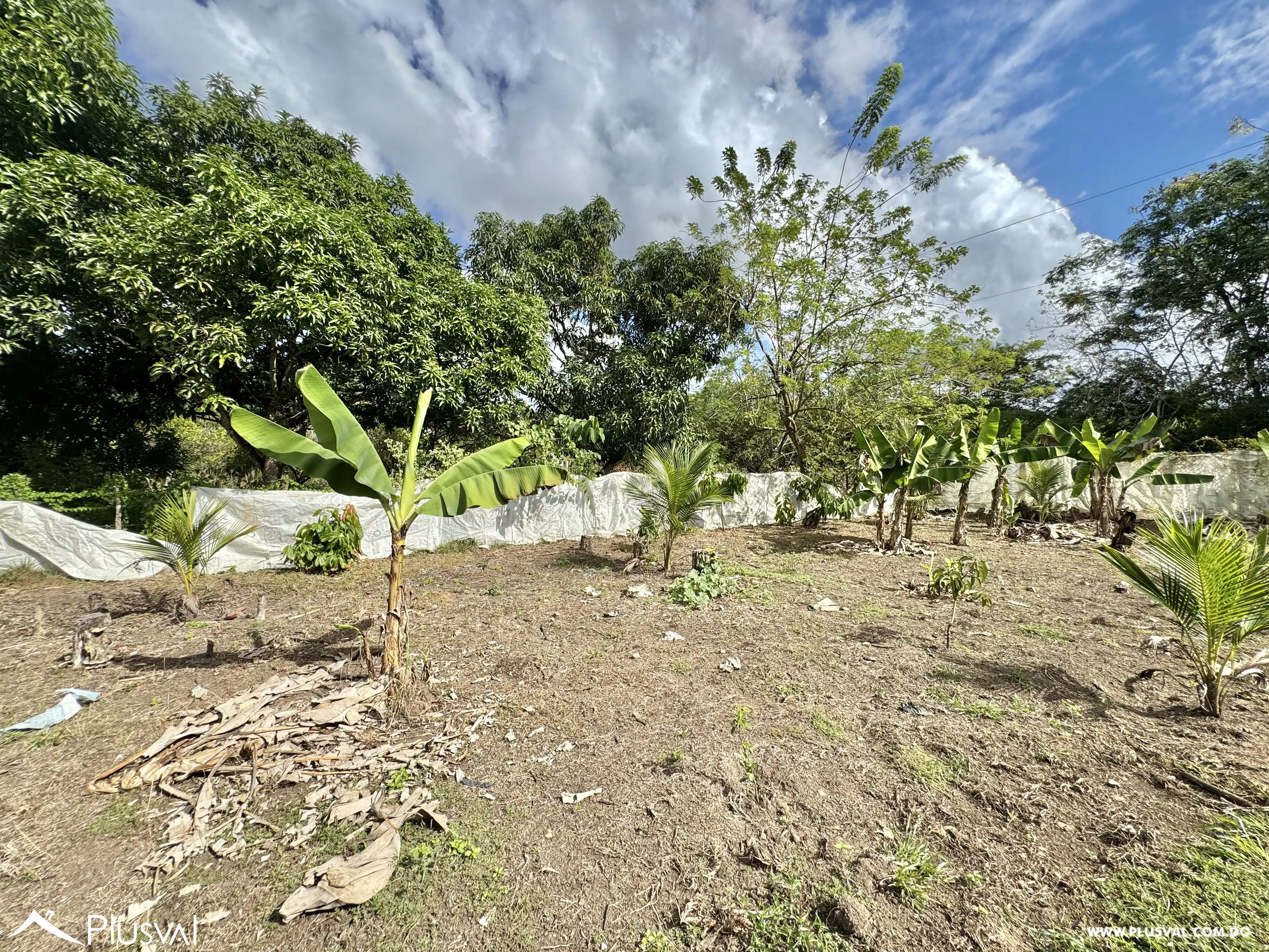 Vendo Maravillosa Finca con Importantes Mejoras en Pedro barnd 479768