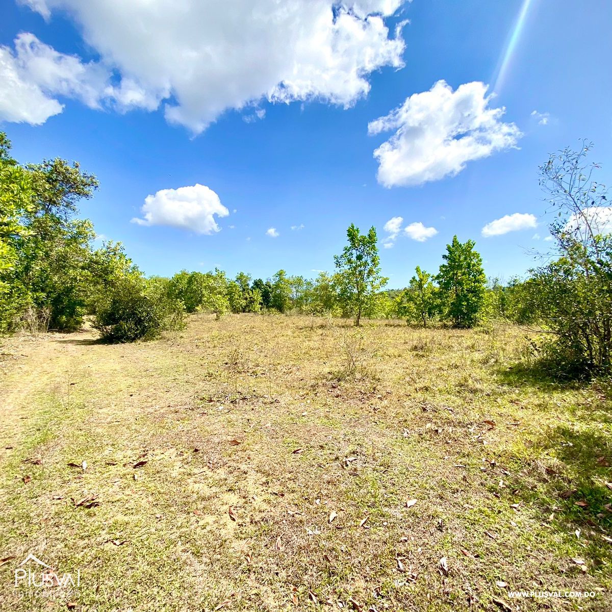 Gran Terreno en Yamasa Para Venta 275144