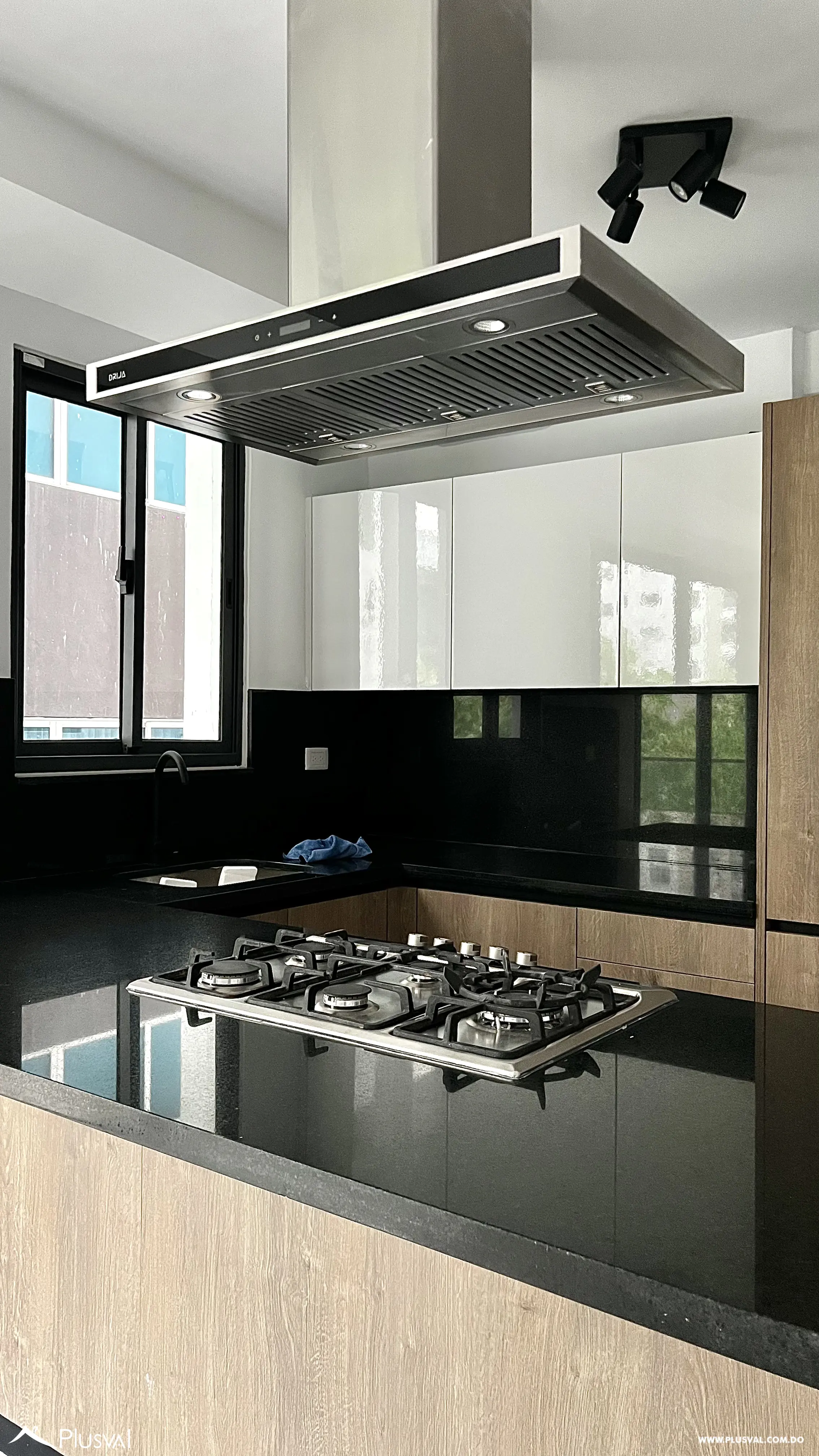 Exclusivo apartamento de una habitación con linea blanca en alquiler en Piantini 457746