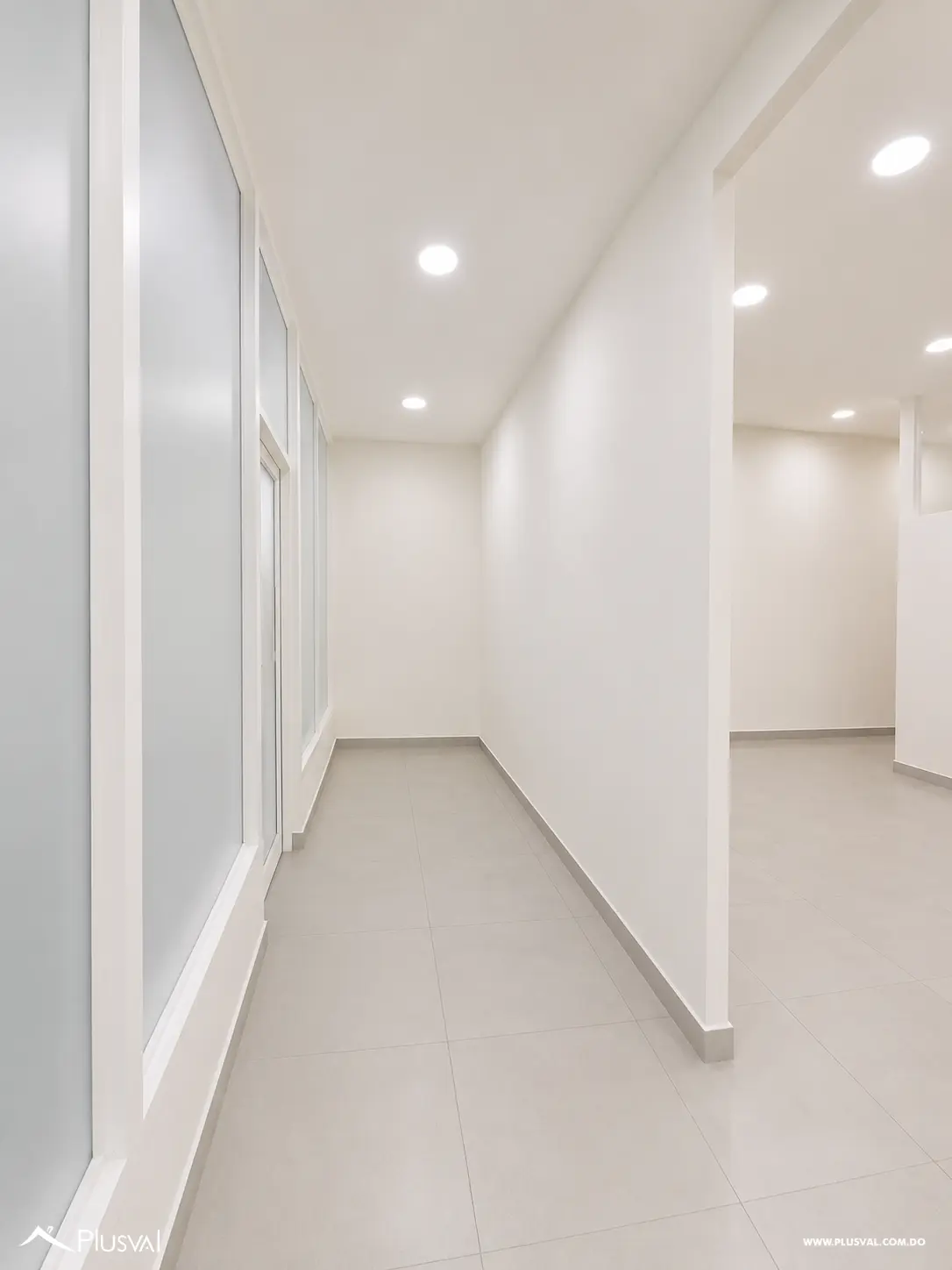Alquilo Local Comercial en Excelente Ubicacion en Naco 513541
