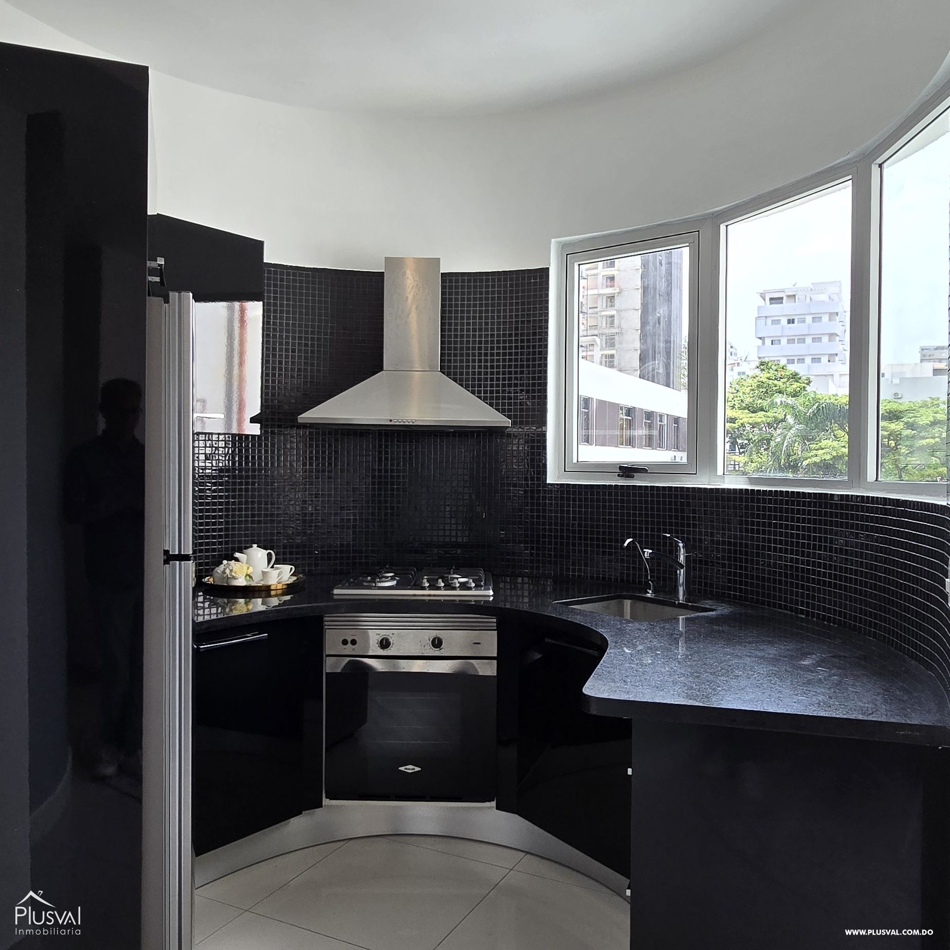 Apartamento AMUEBLADO en Venta, Piantini 374803