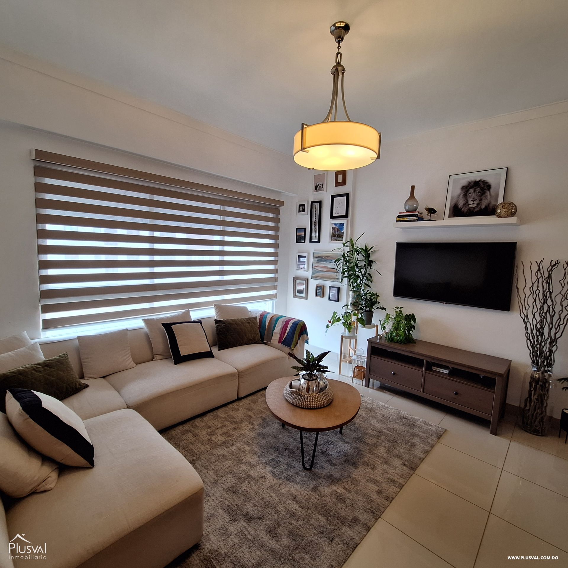 Apartamento AMUEBLADO en Alquiler, Paraíso 349443
