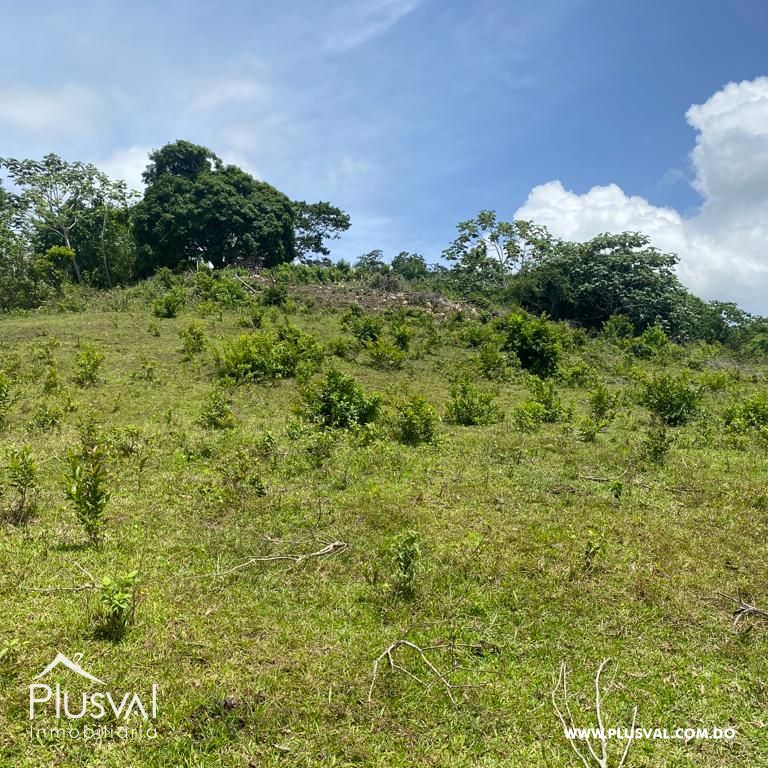 Terreno en Venta en Las Terrenas - Samaná | 190,930 m² Naturaleza y Altitud 313404