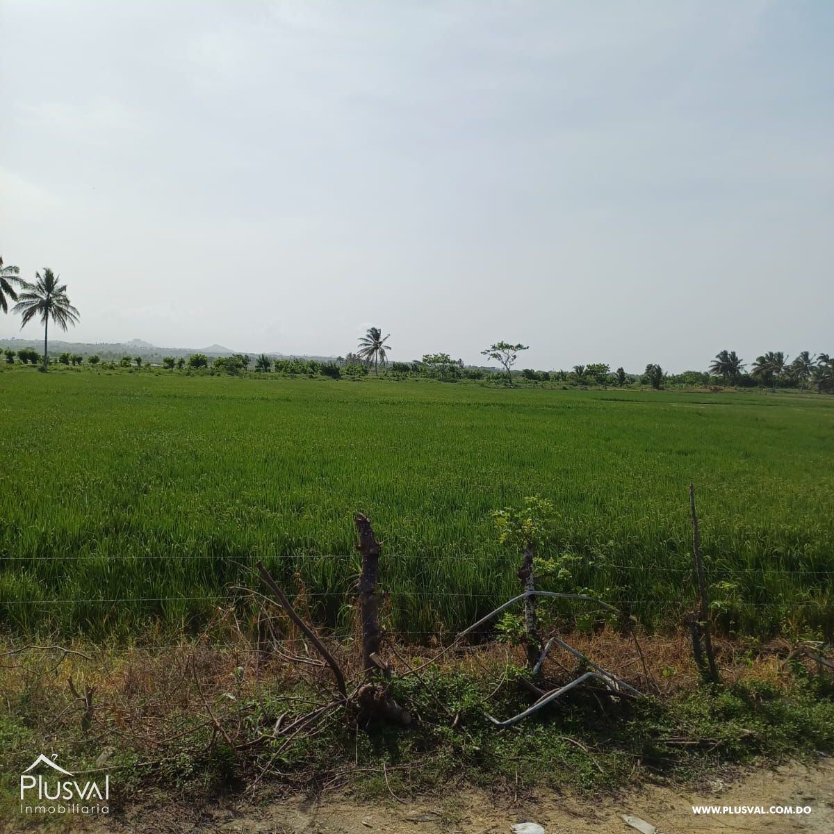 Gran terreno en venta ideal para desarrollo inmobiliario en Nisibon 366423
