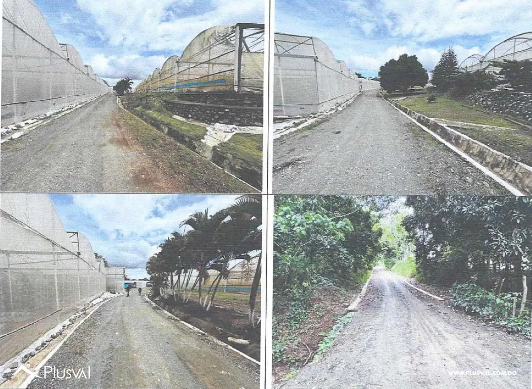 Finca en Venta en Camino Piedra Blanca- Jarabacoa 483301