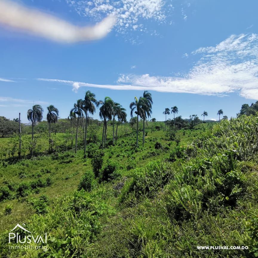 Solar en venta en Cabrera con vista al mar en la montaña 172401