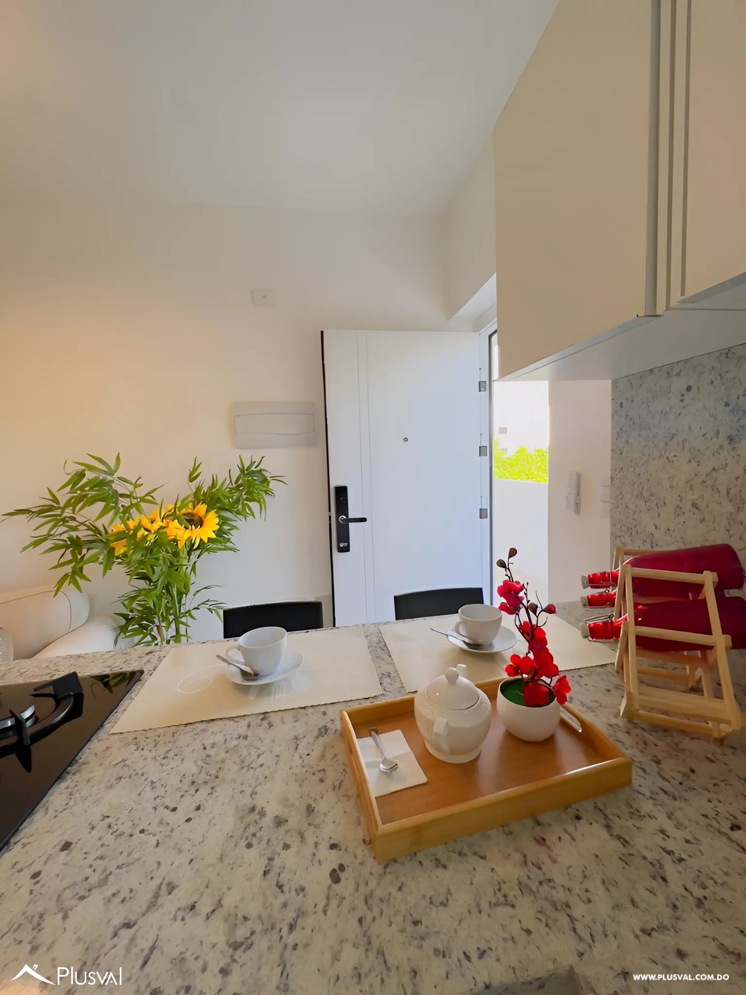 Punta del Este III 501124