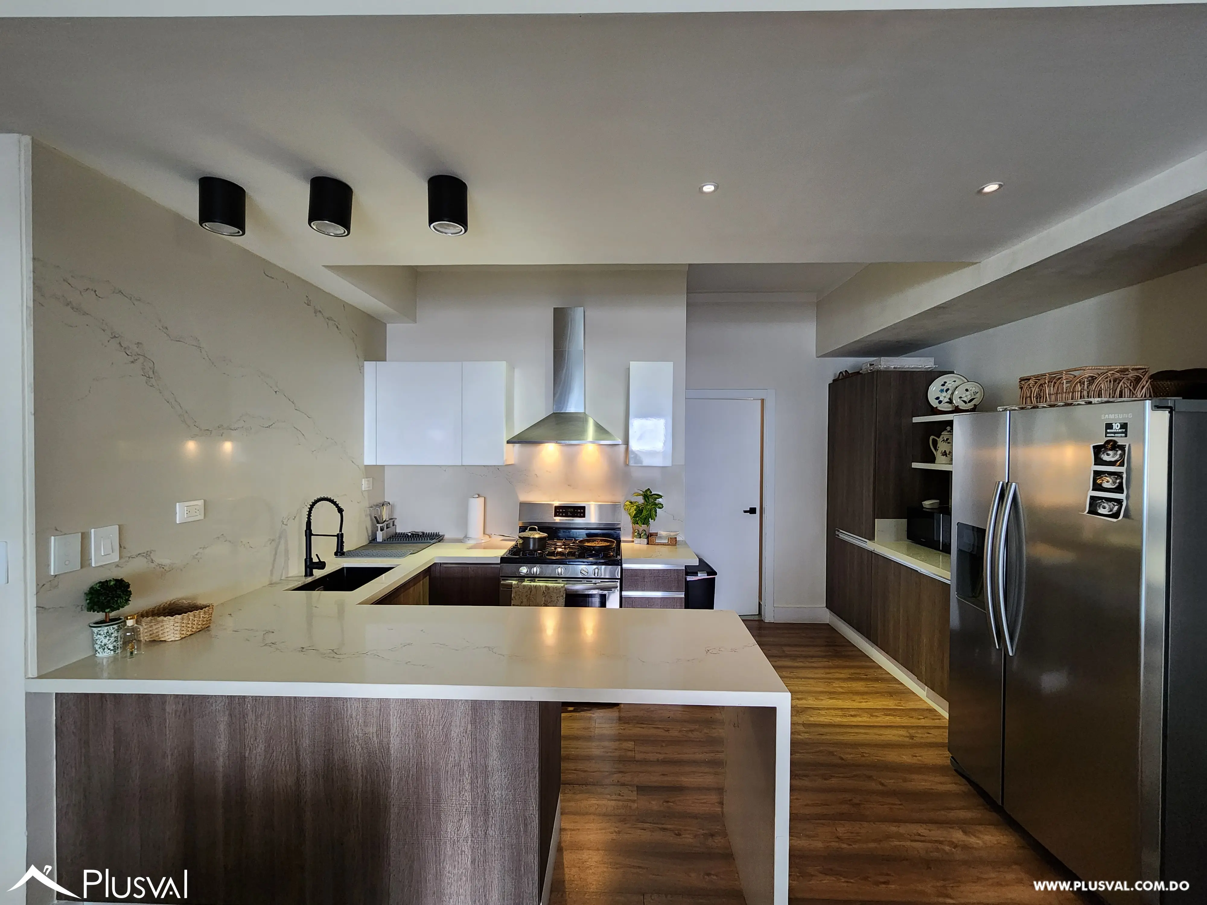 Apartamento con gran terraza en venta en Naco 465176