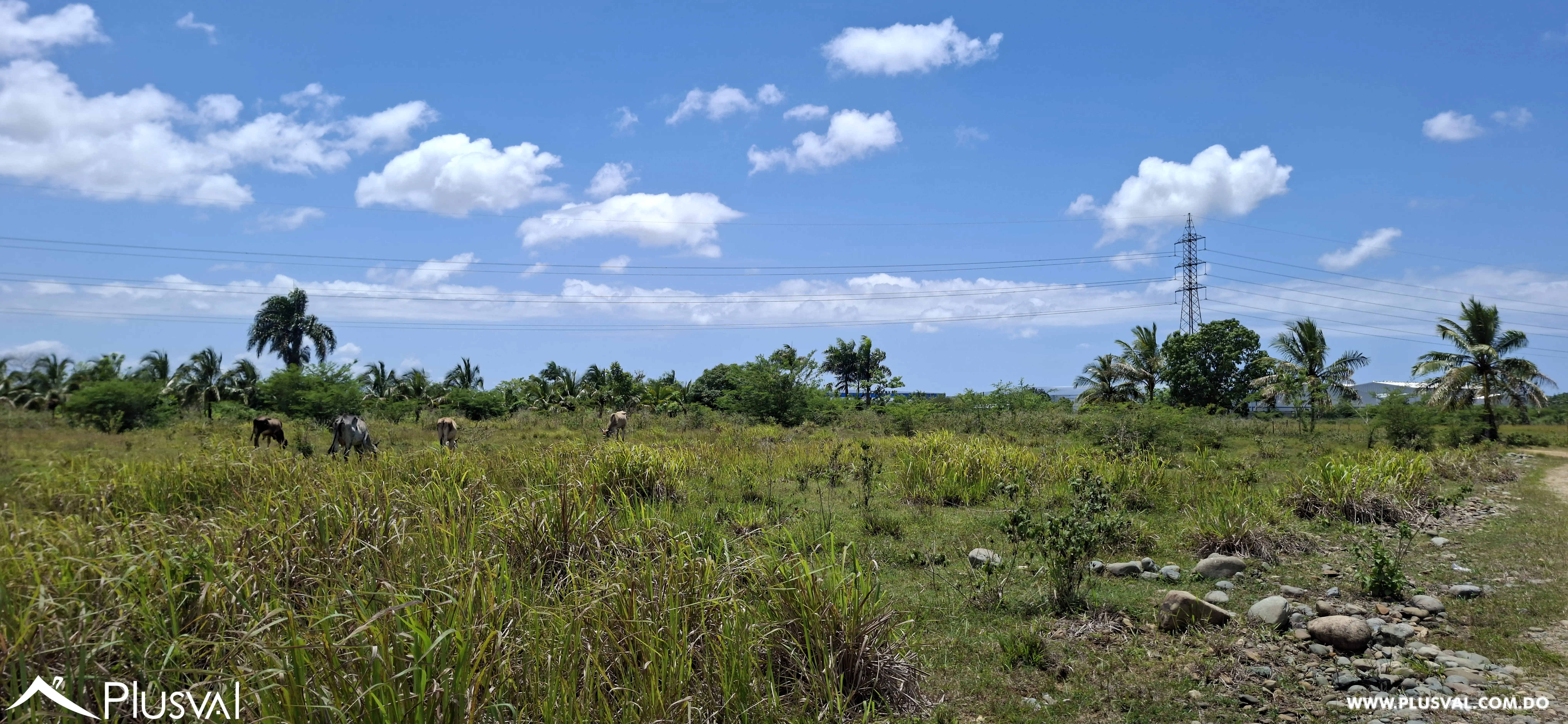 Venta de Solar en La Guayiga - A solo 1 km de la Circunvalación 503742