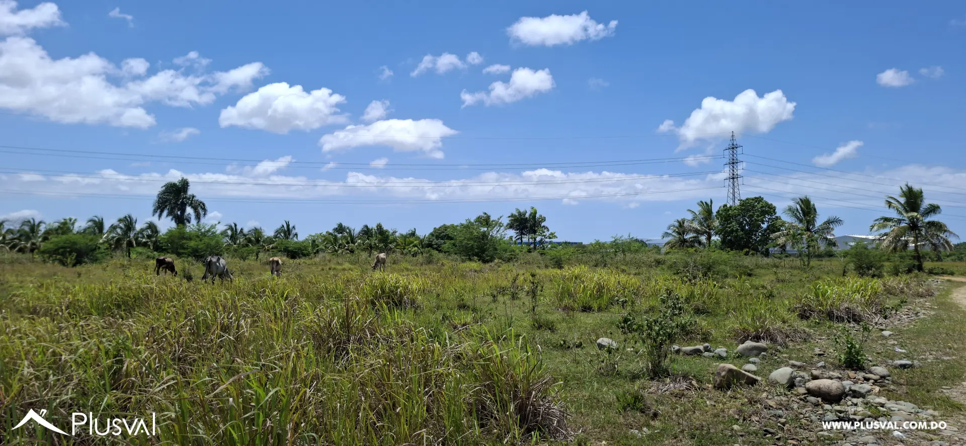 Venta de Solar en La Guayiga - A solo 1 km de la Circunvalación 503742