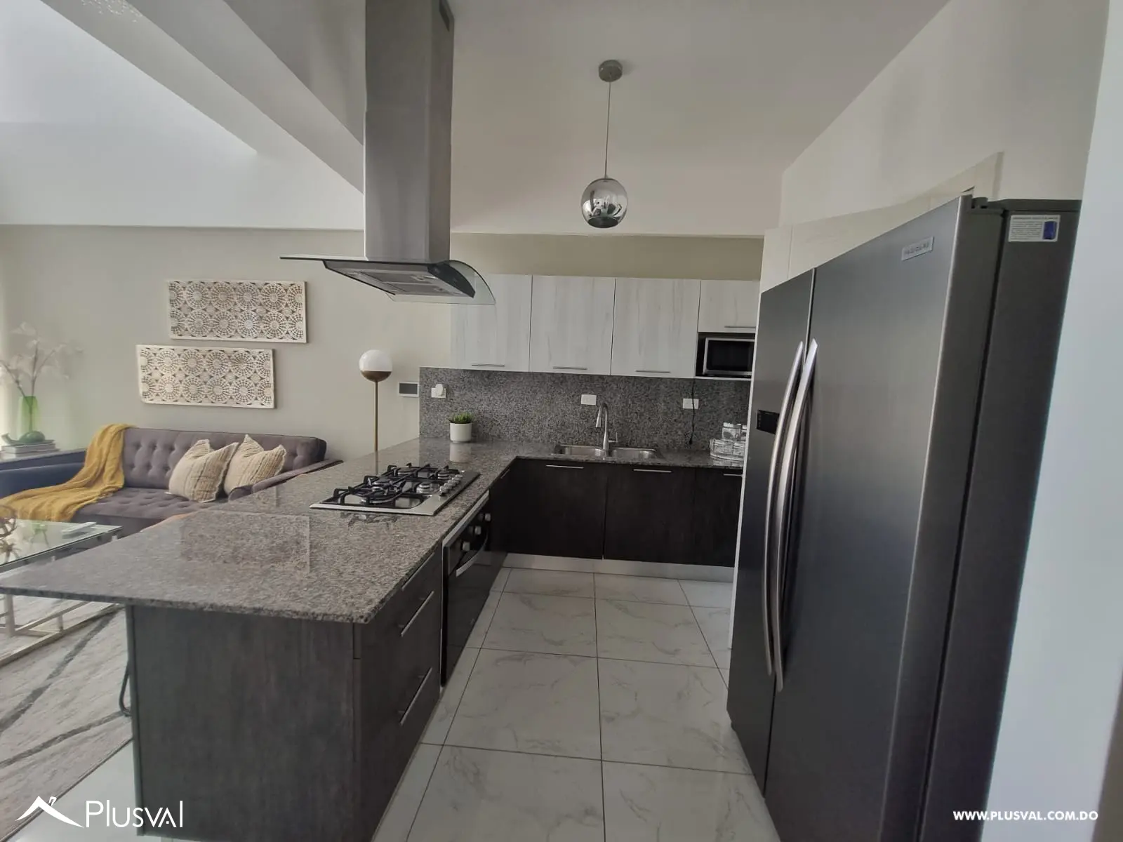 Apartamento de 1 habitacion amueblado en alquiler en Evaristo  Morales 509594