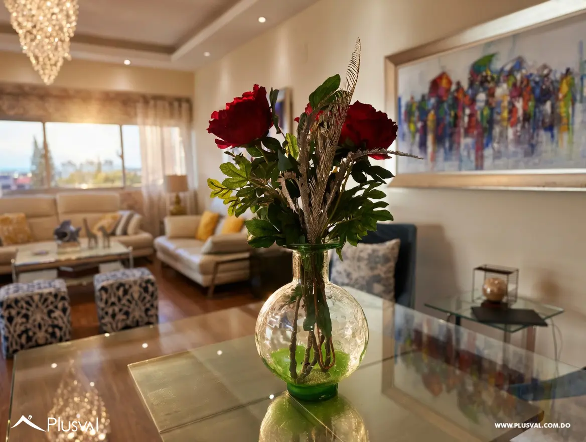 Apartamento dos niveles en Evaristo Morales 493345