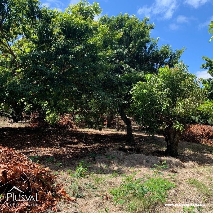 Finca de frutales en Yaguate, San Cristóbal 397848