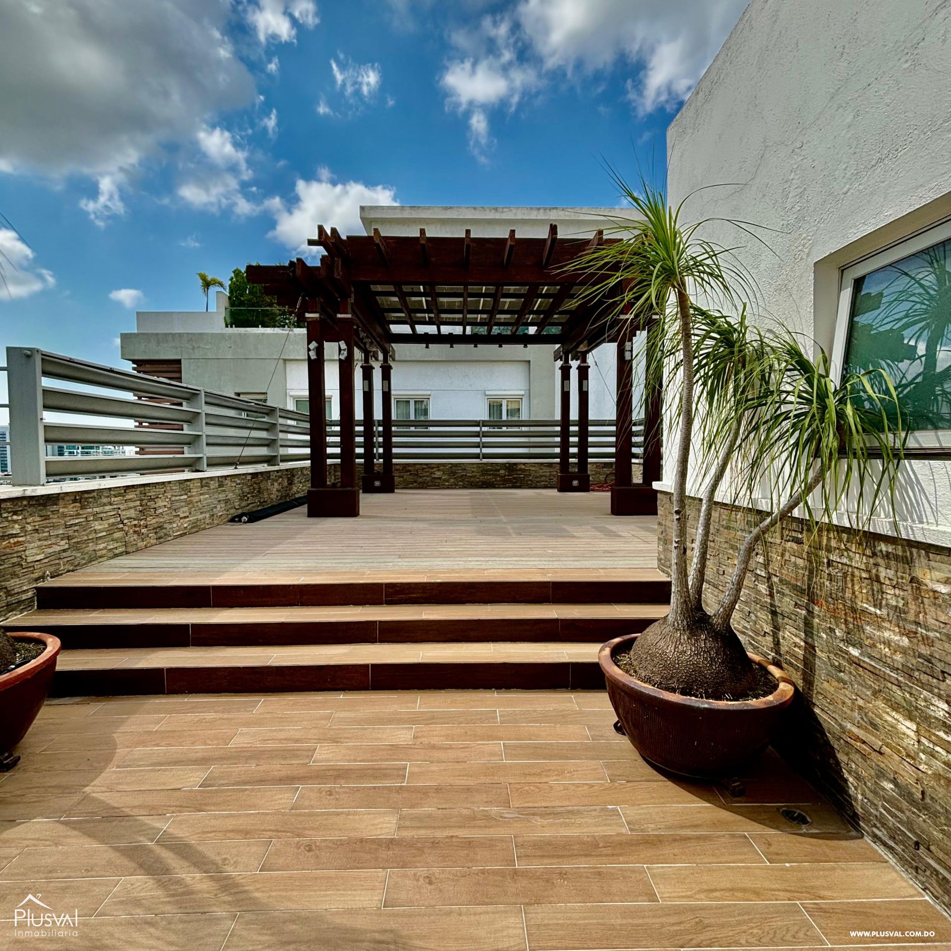 Penthouse en venta en Piantini 359661