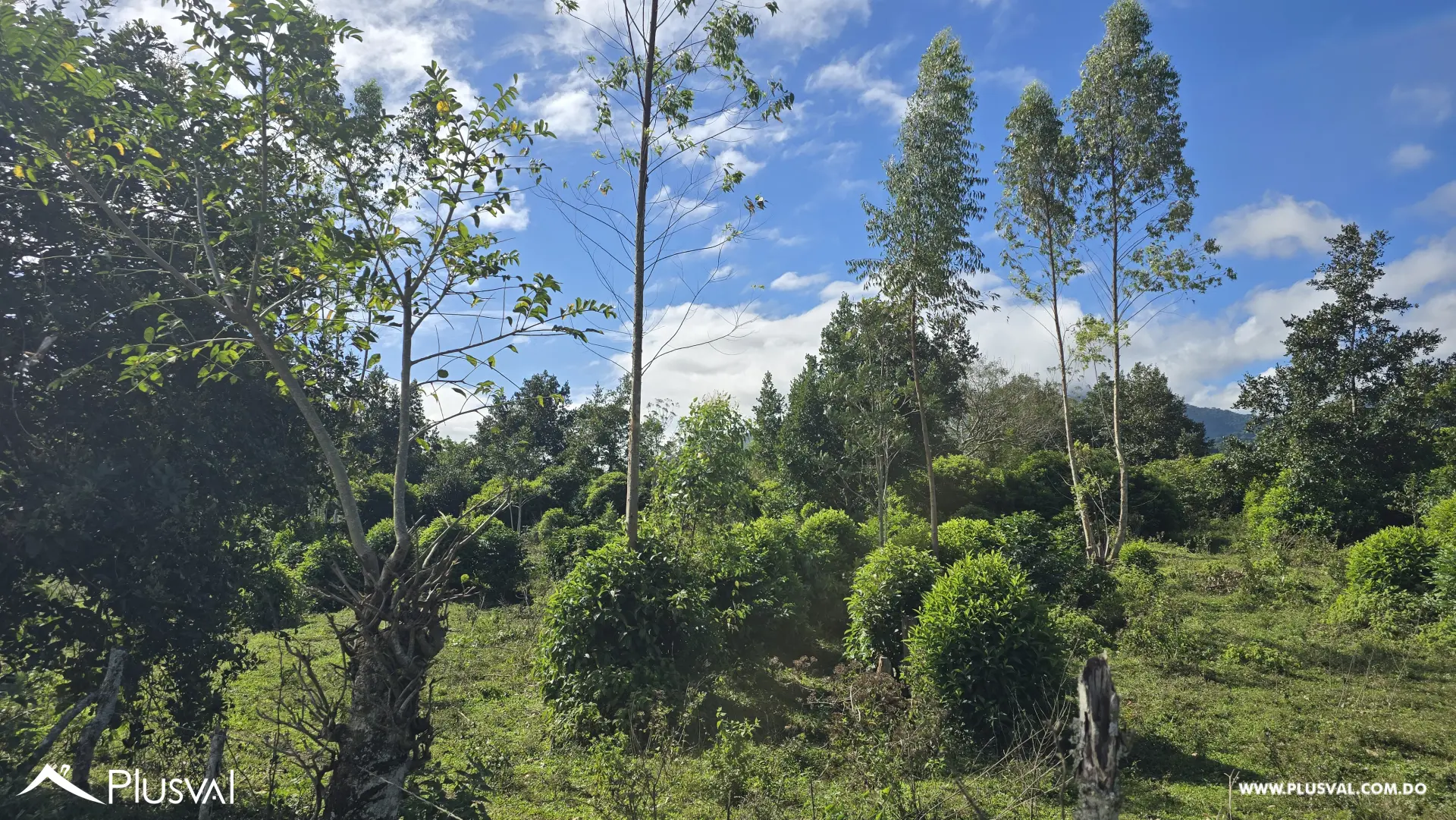 Buscas Solar para construir y cultivar a tan solo 25 minutos de la ciudad, este solar puede ser tuyo 485599