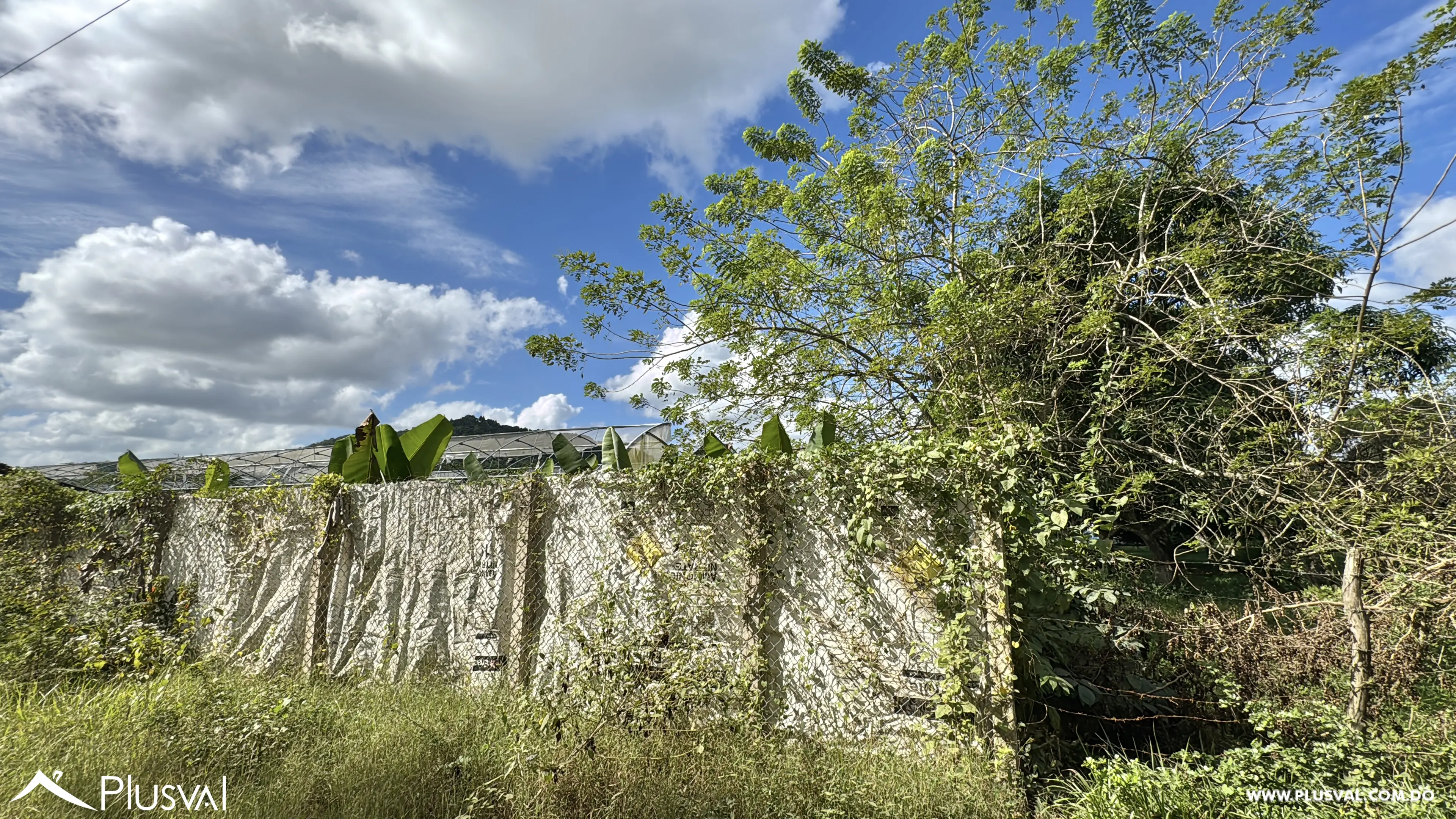Vendo Maravillosa Finca con Importantes Mejoras en Pedro barnd 479756
