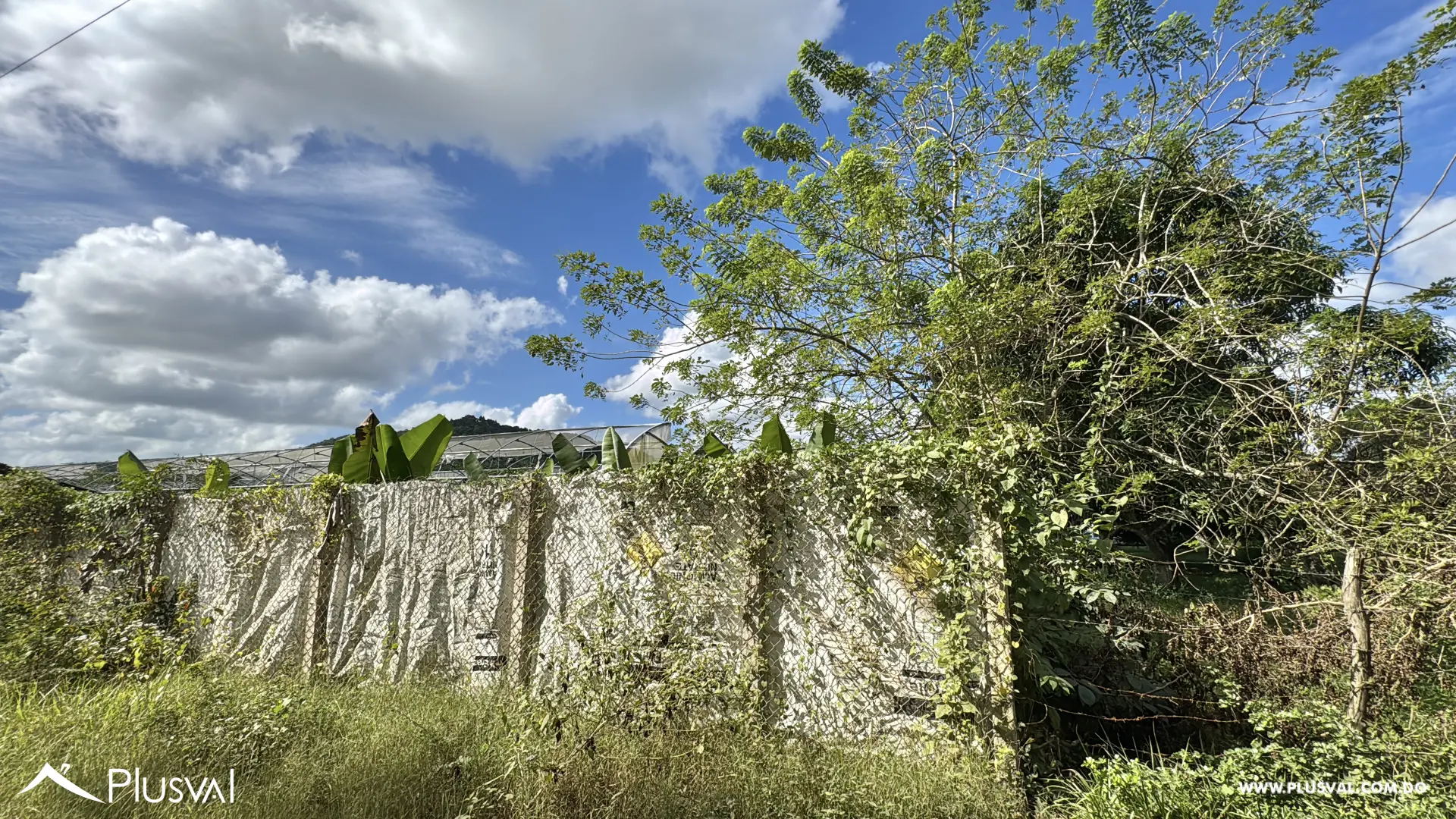 Vendo Maravillosa Finca con Importantes Mejoras en Pedro barnd 479756