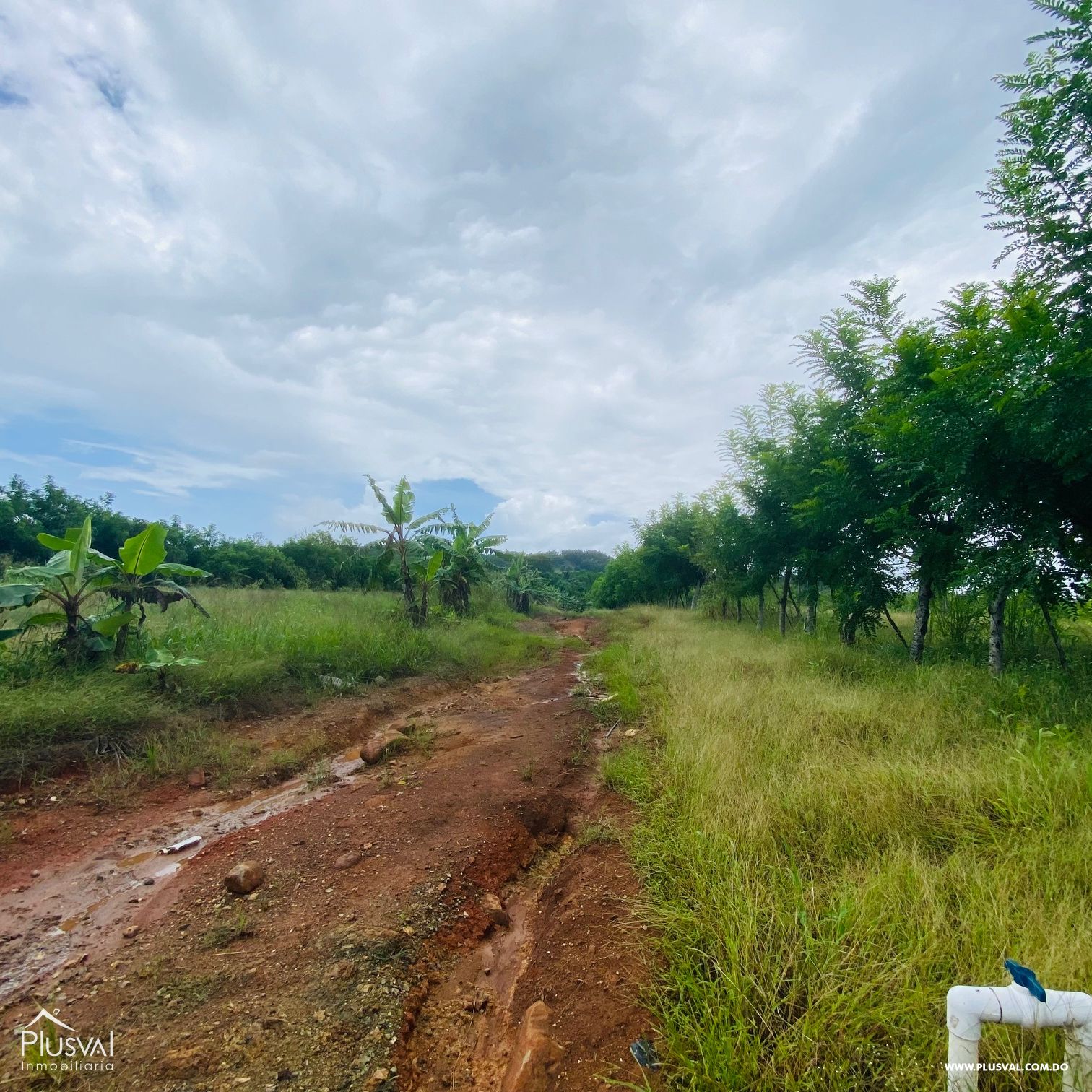 Venta de Finca Agrícola y Minera en Cotuí 232851