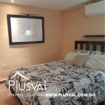 Apartamento estudio amueblado en Piantini 389306