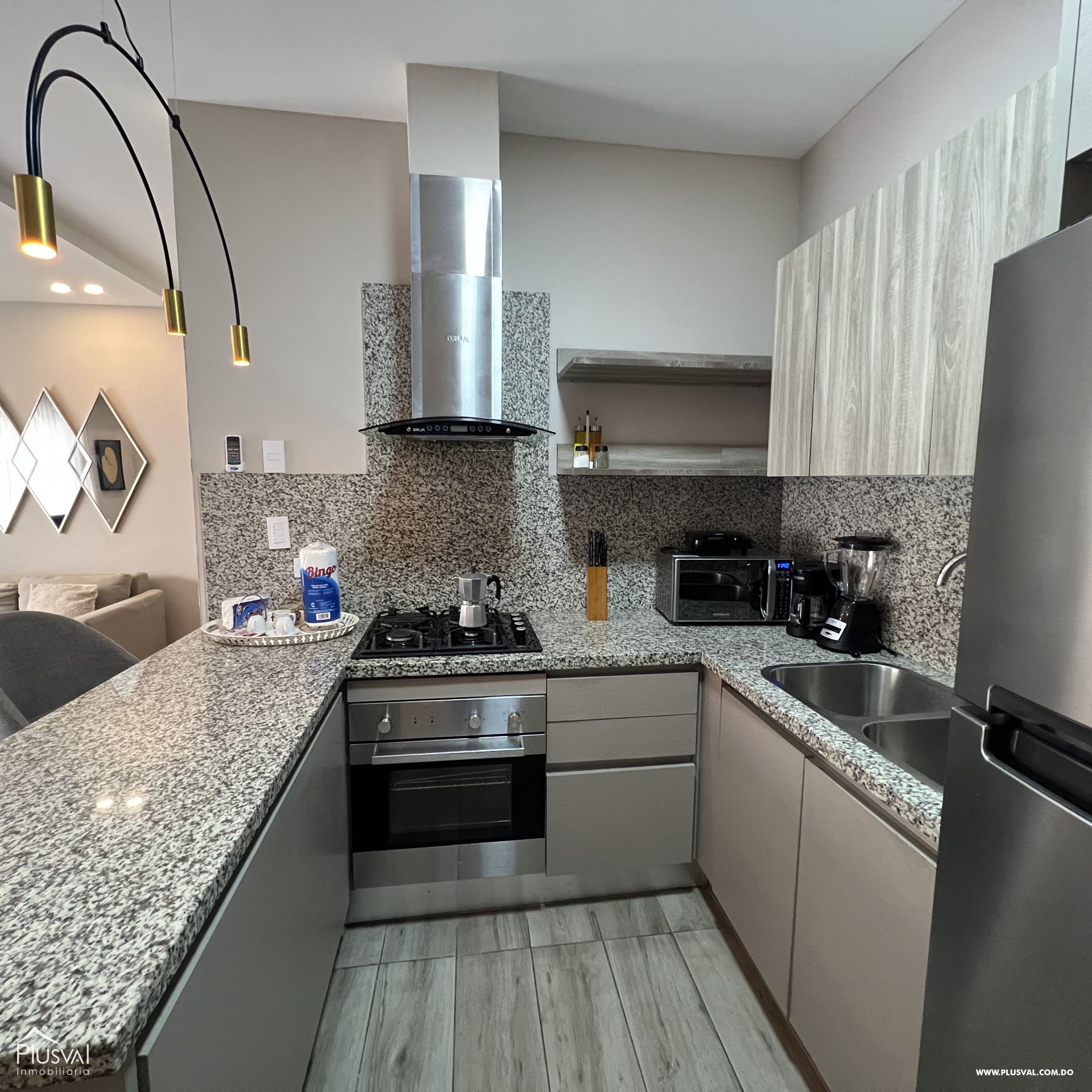Apartamento amueblado en Alquiler en Piantini 517087