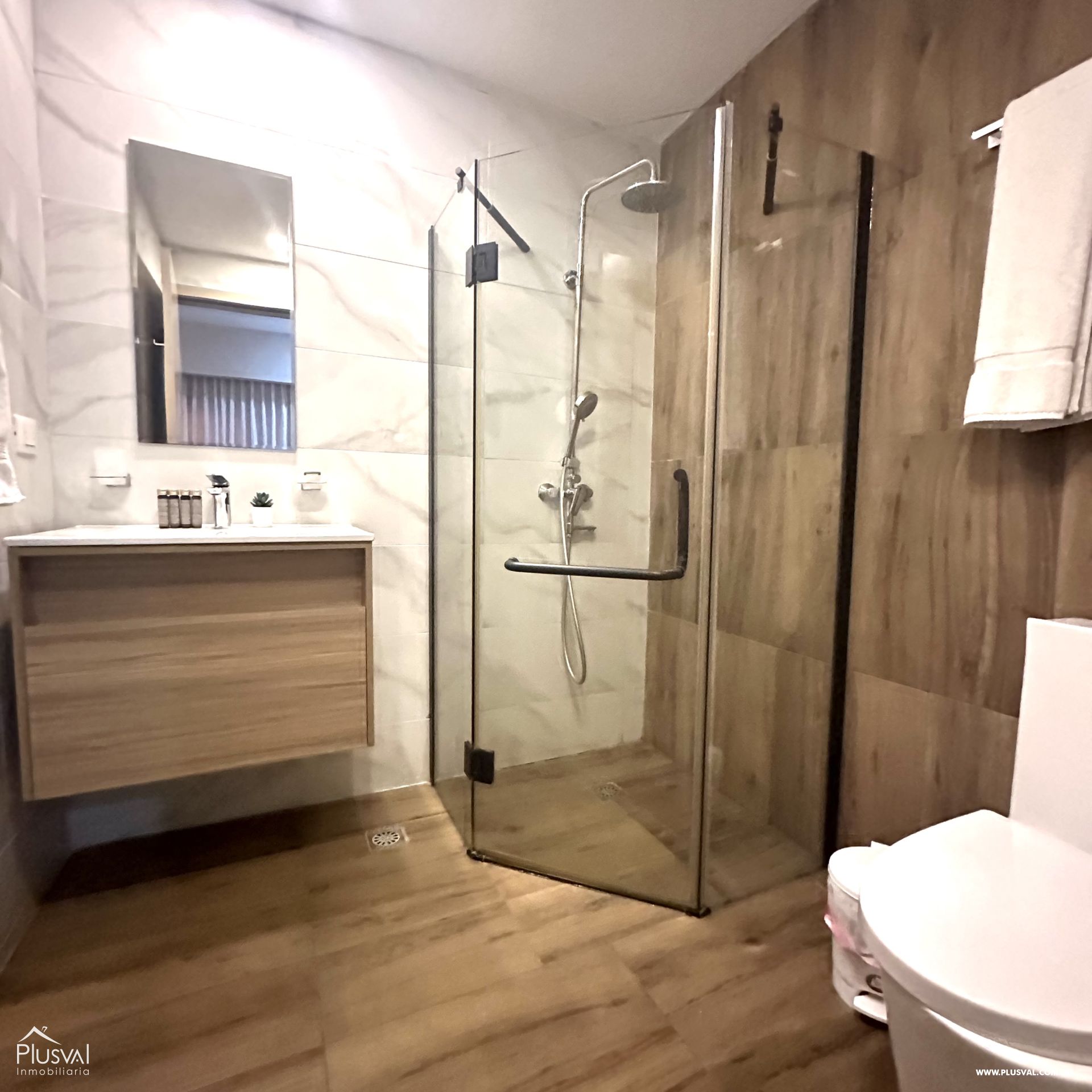 Apartamento Alquiler Amueblado, Piantini 396083