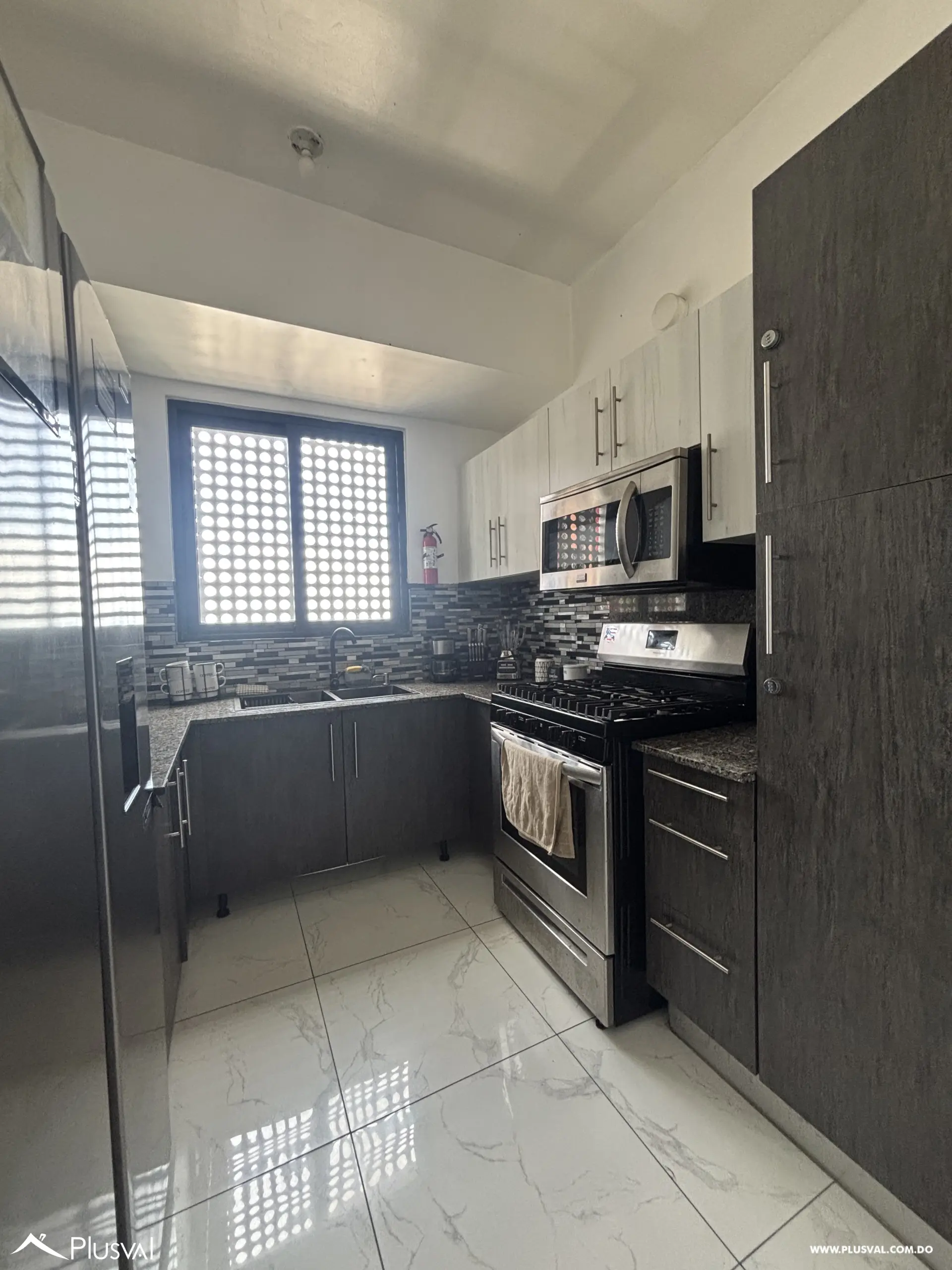 Apartamento en venta amueblado en Evaristo Morales 518452