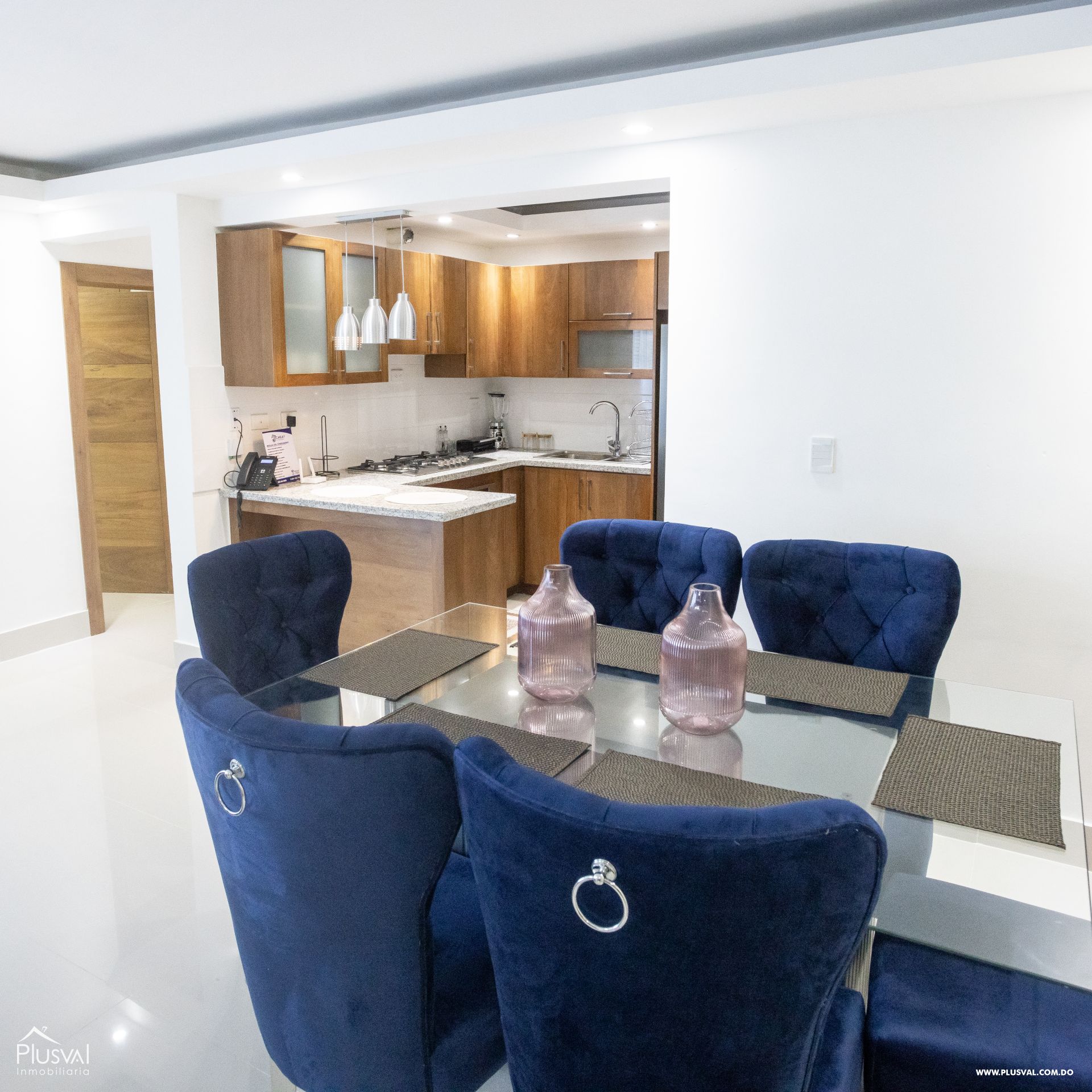 Hermoso y amplio apartamento totalmente amueblado. 355016