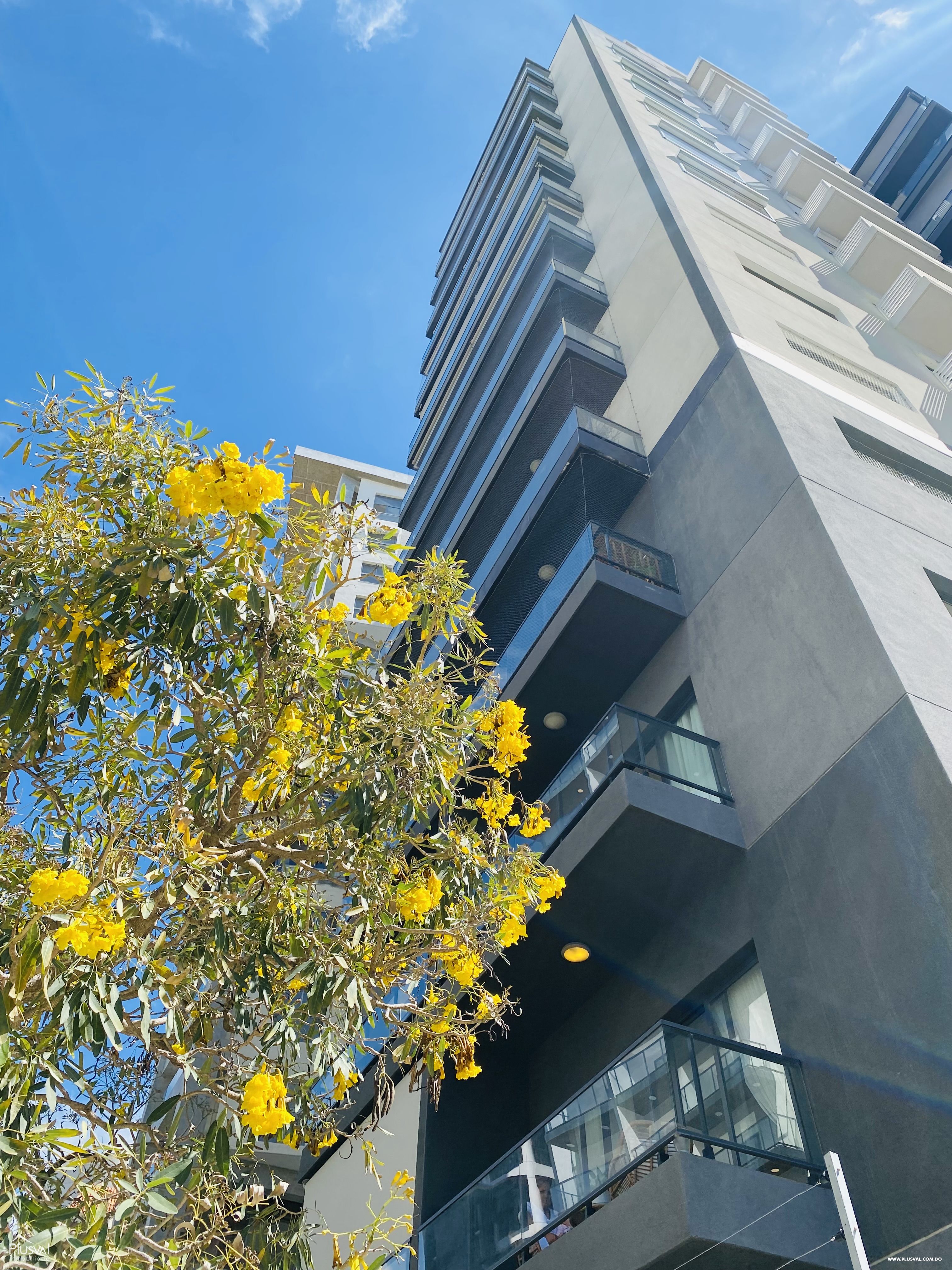 Apartamento en venta en Naco, piso 10 273232