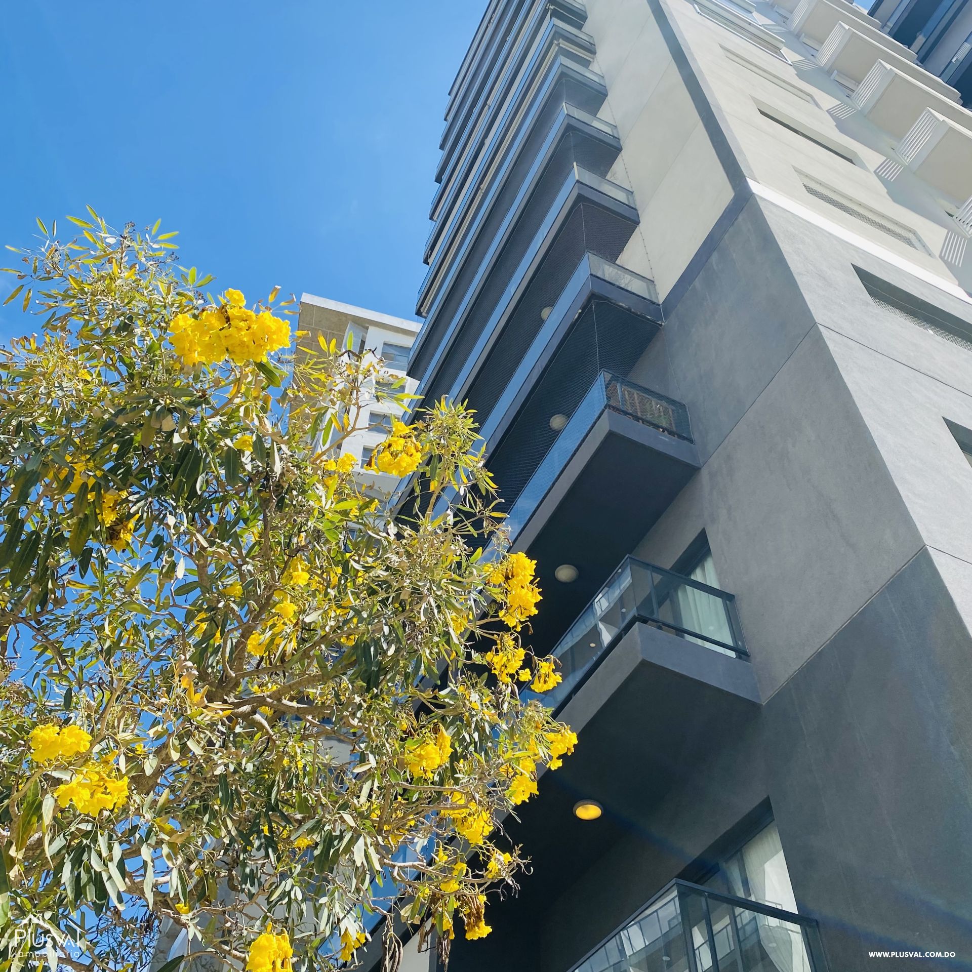 Apartamento en venta en Naco, piso 10 273232