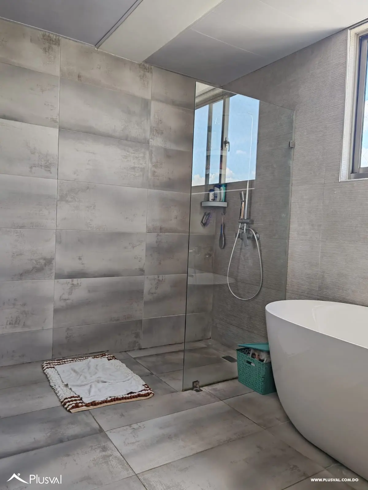 Amplio apartamento en Venta en Renacimiento 460413
