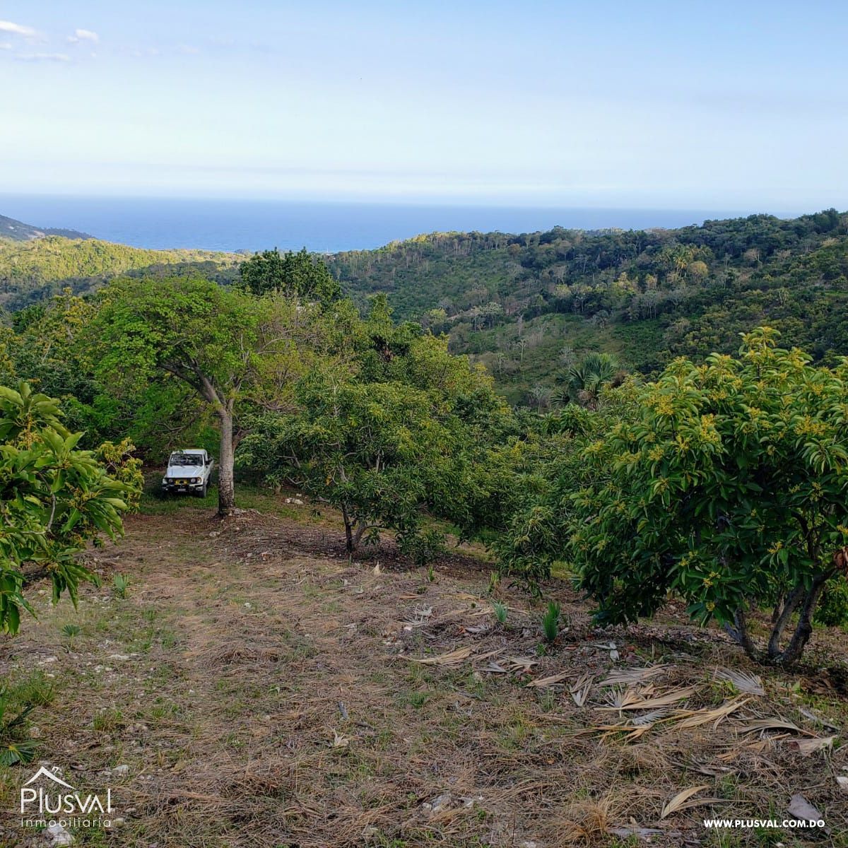 Finca aguacatera en Paraíso, Barahona 282705