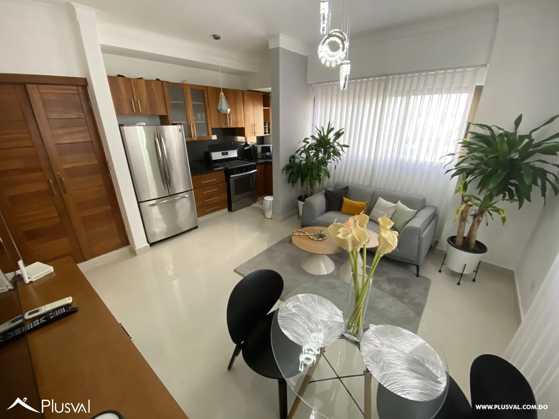 Apartamento Amueblado en alquiler en Piantini 521735