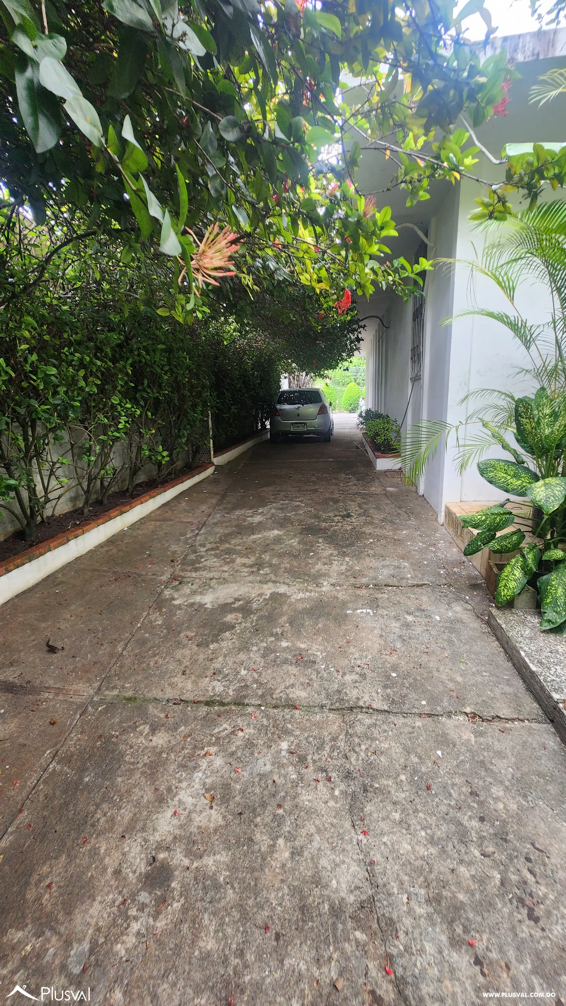 Se alquila casa comercial en Naco 511646