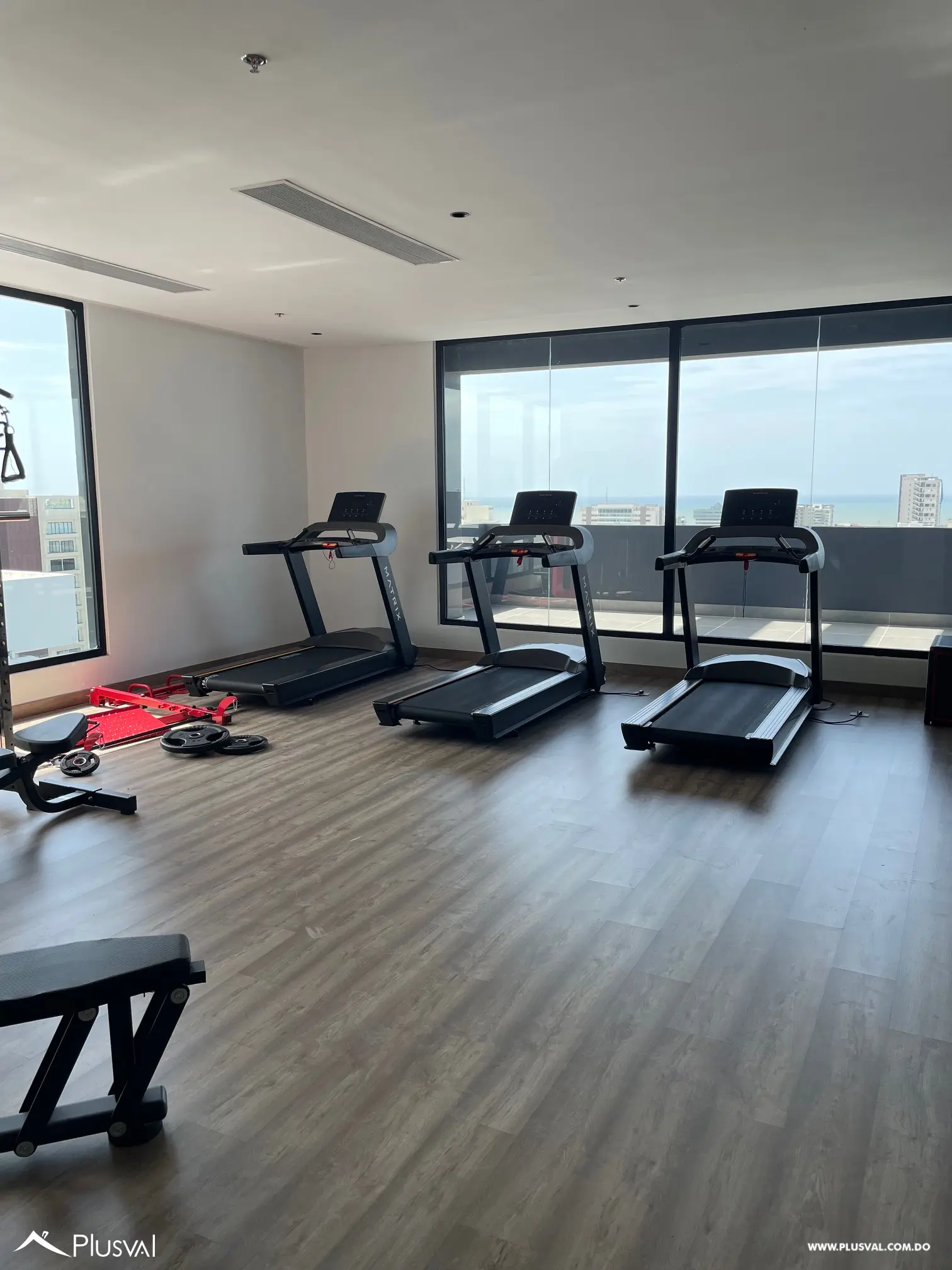 Local Comercial en Corportativo Premium 508816