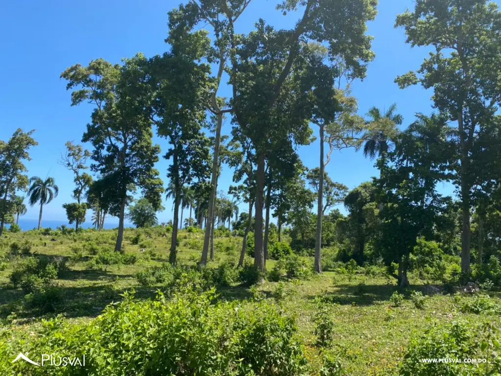 Terreno de 1,517.07 MT2 en Cabrera con impresionante vista al mar 468098