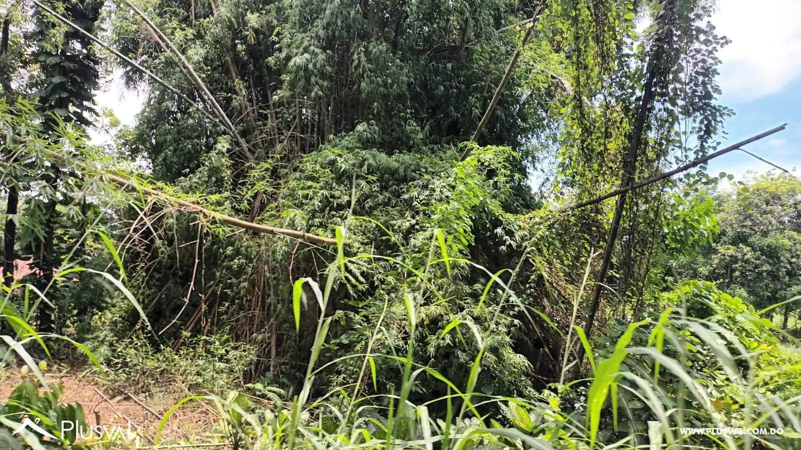 Finca a la venta en Piedra Blanca, Monseñor Nouel, carretera Yuboa 463551