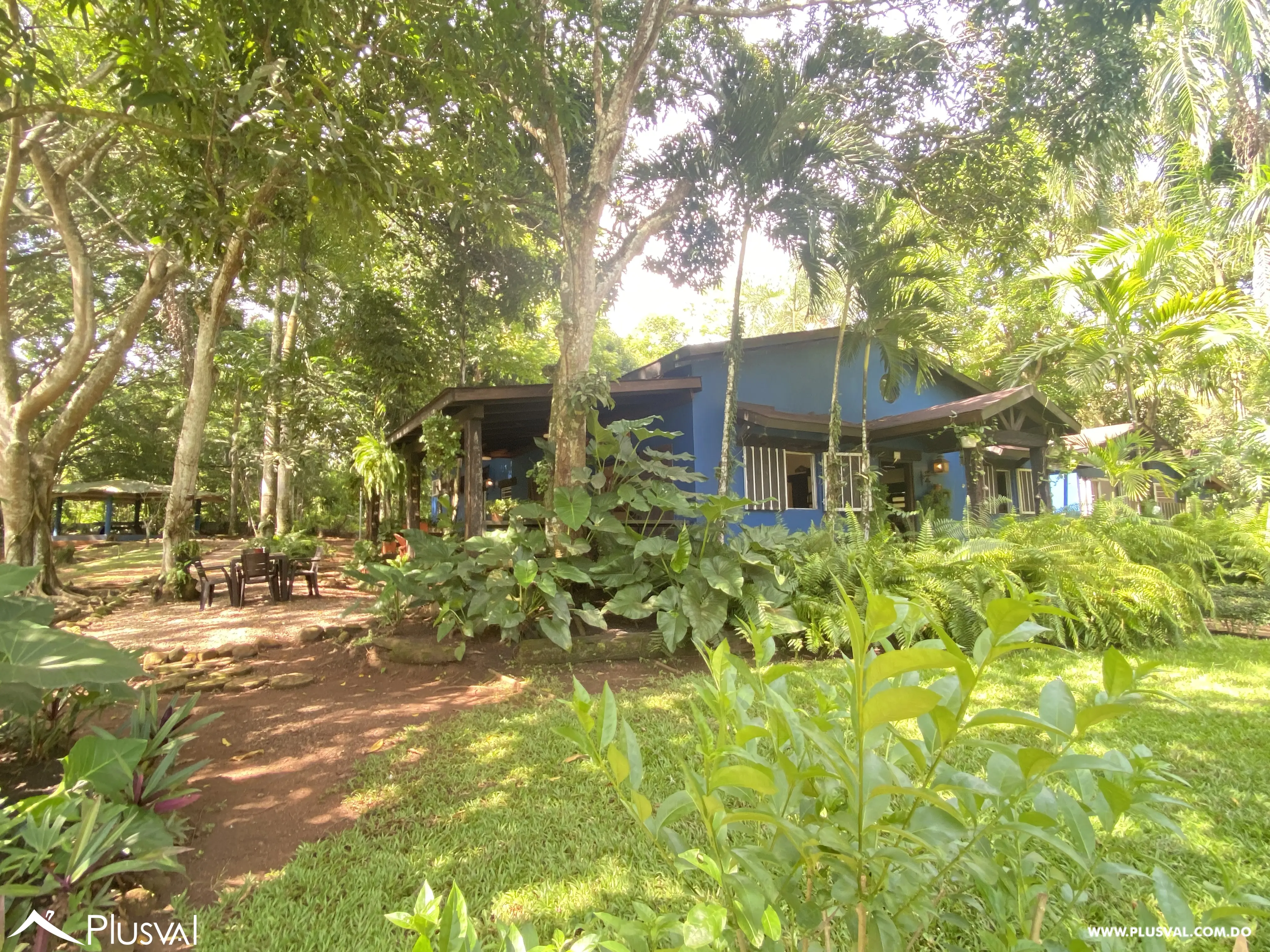 Finca de 106 tareas en Venta, Los Cocos | Pedro Brand 452066