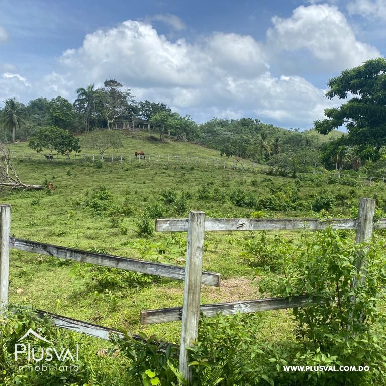 Terreno en Venta en Las Terrenas - Samaná | 190,930 m² Naturaleza y Altitud 313399