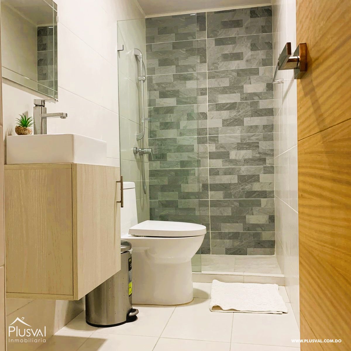 Apartamento en Naco amueblado en alquiler 392524